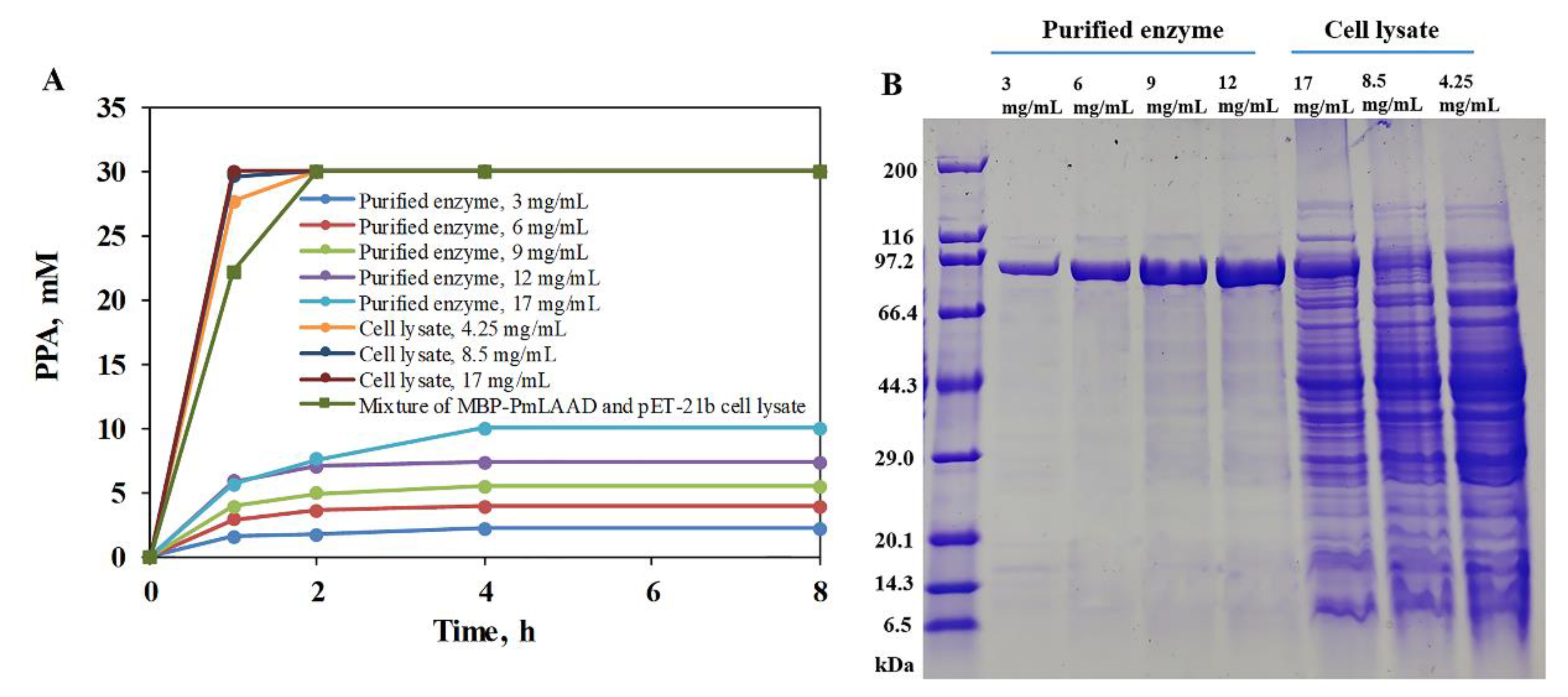 Catalysts 10 00215 g004