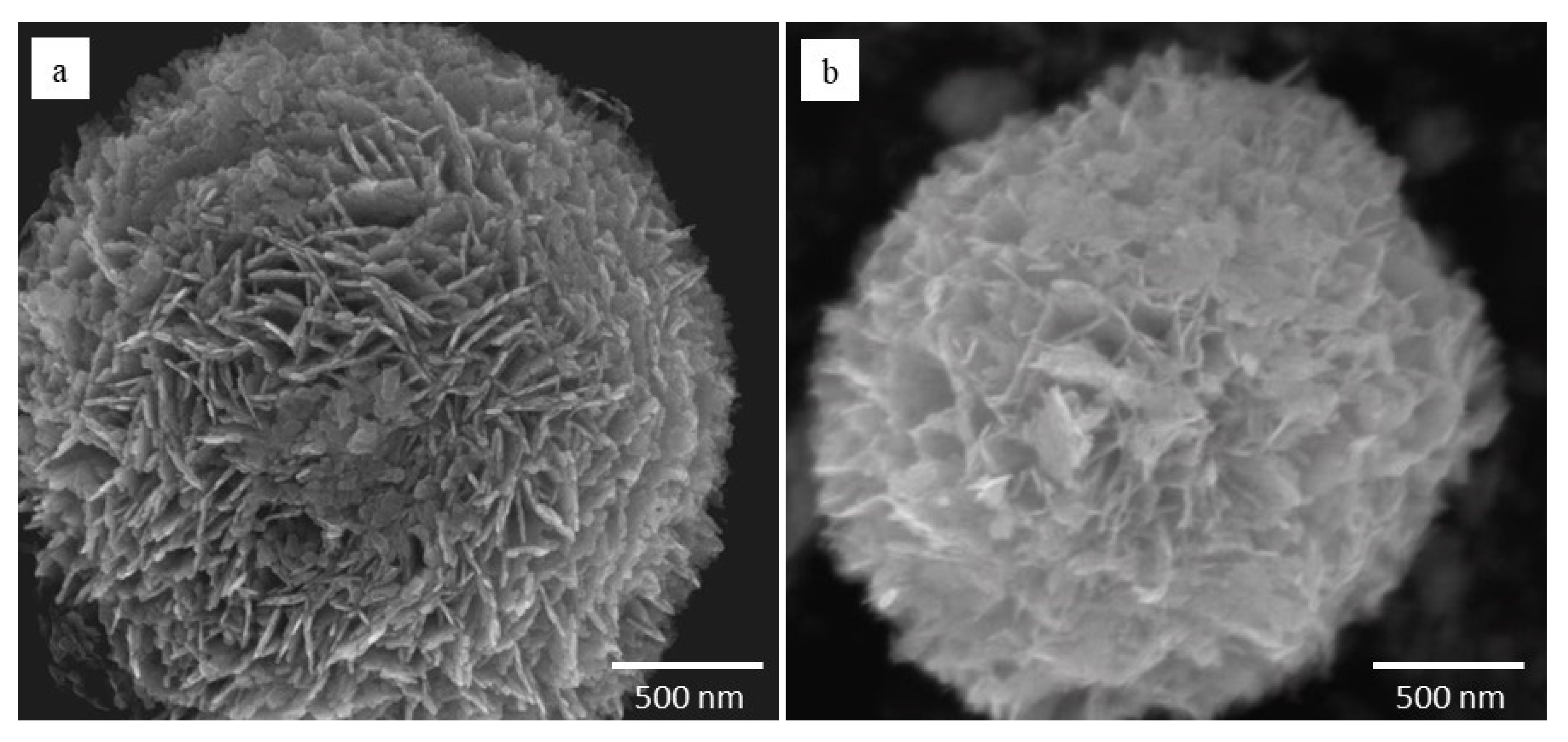 Catalysts 10 00226 g002 Catalysts 10 00226 g002