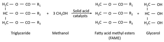 Catalysts Free Full Text Biodiesel Production Using Solid Acid Catalysts Based On Metal Oxides Html