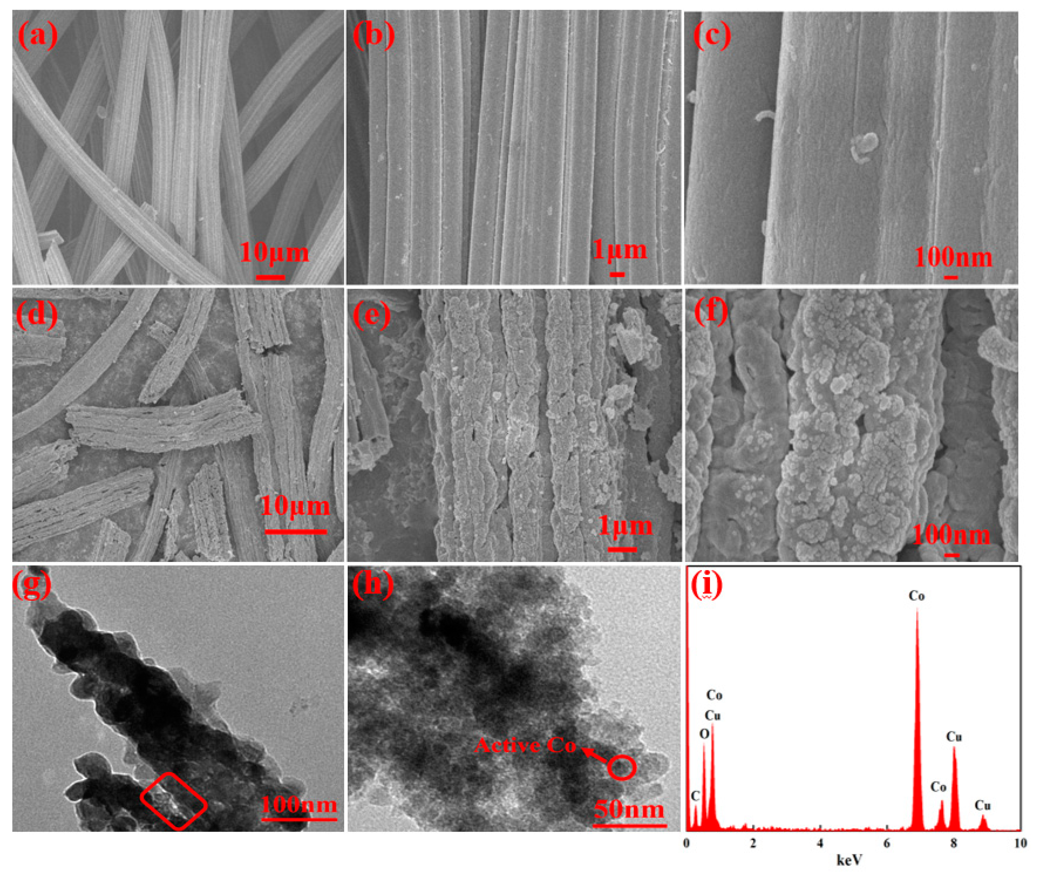 Catalysts 10 00244 g001
