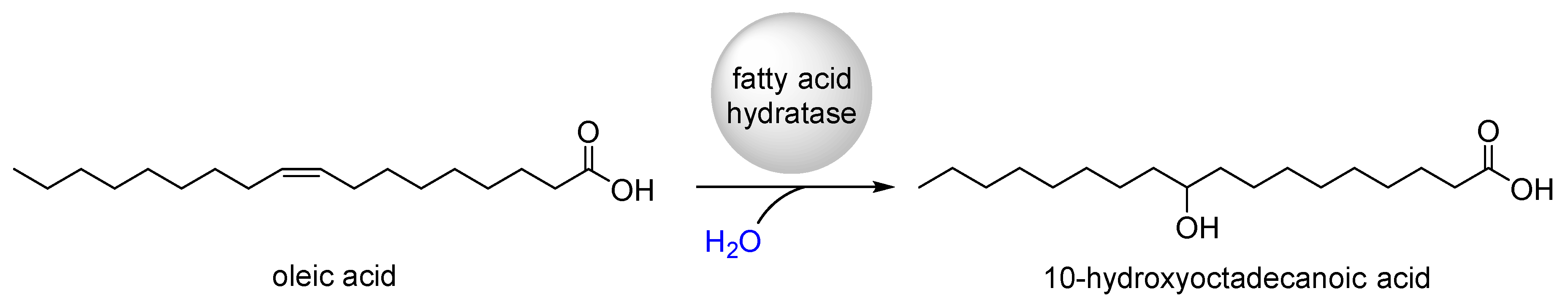 Catalysts 10 00287 g001