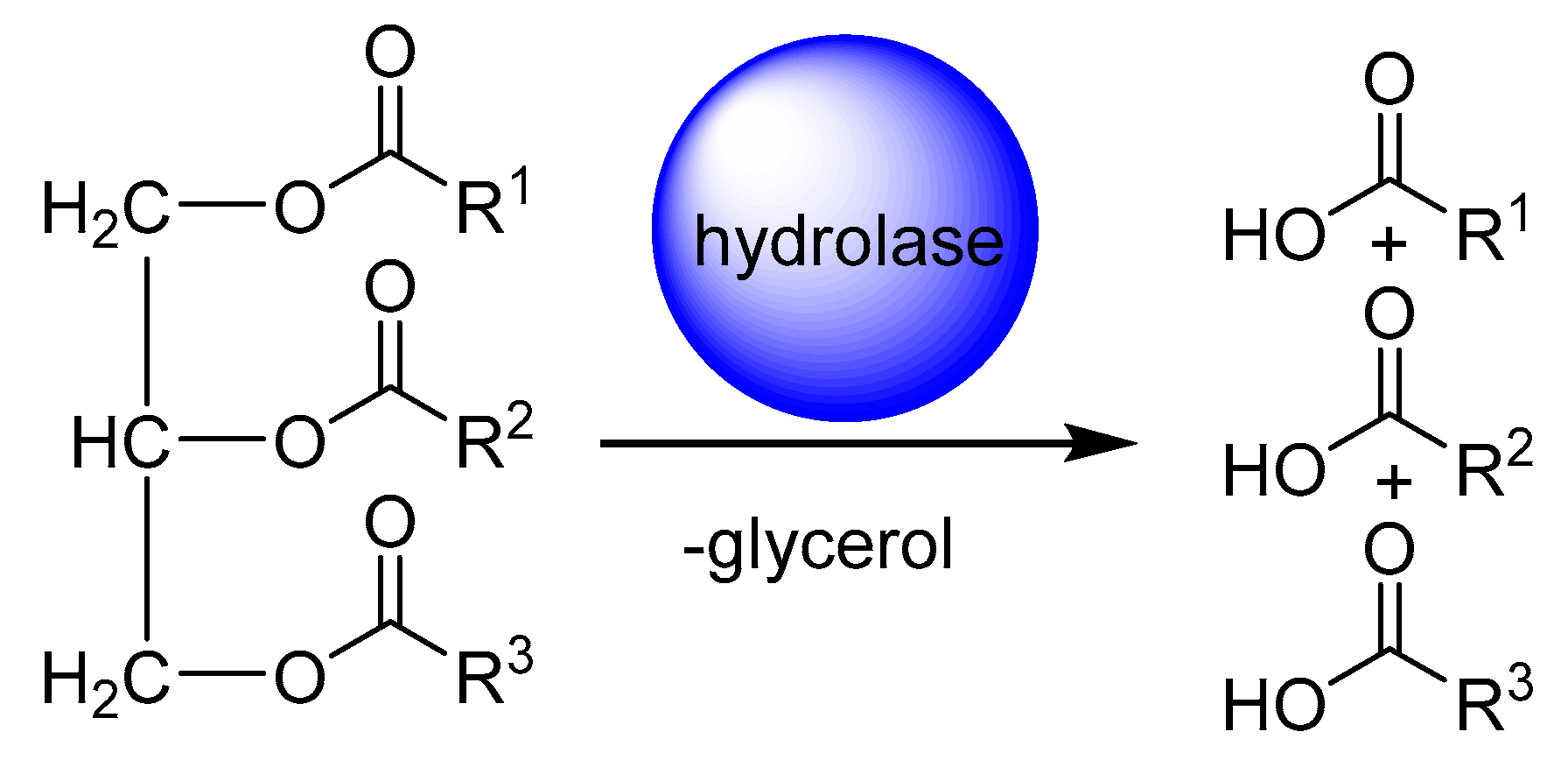 Catalysts 10 00287 g002