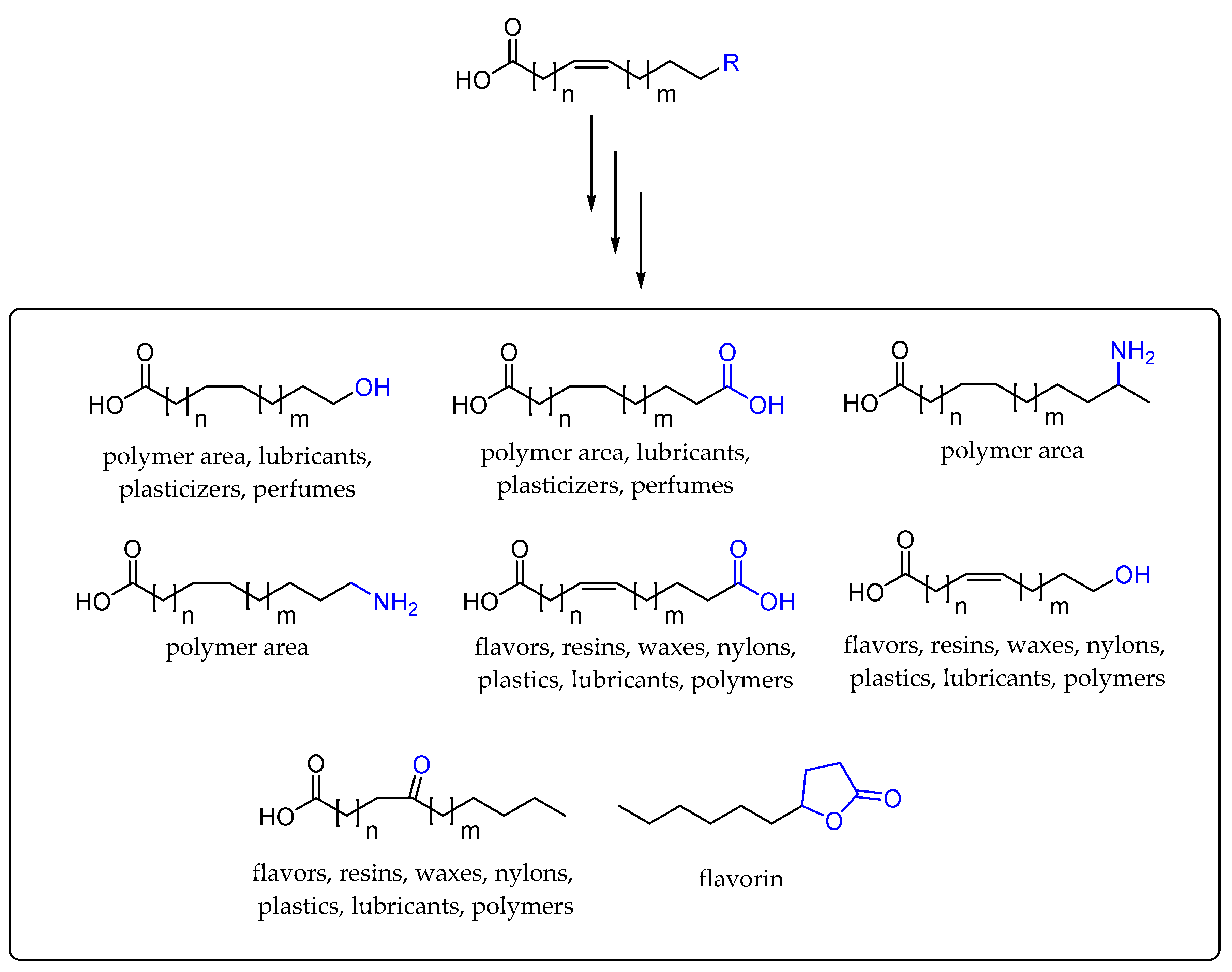Catalysts 10 00287 g003
