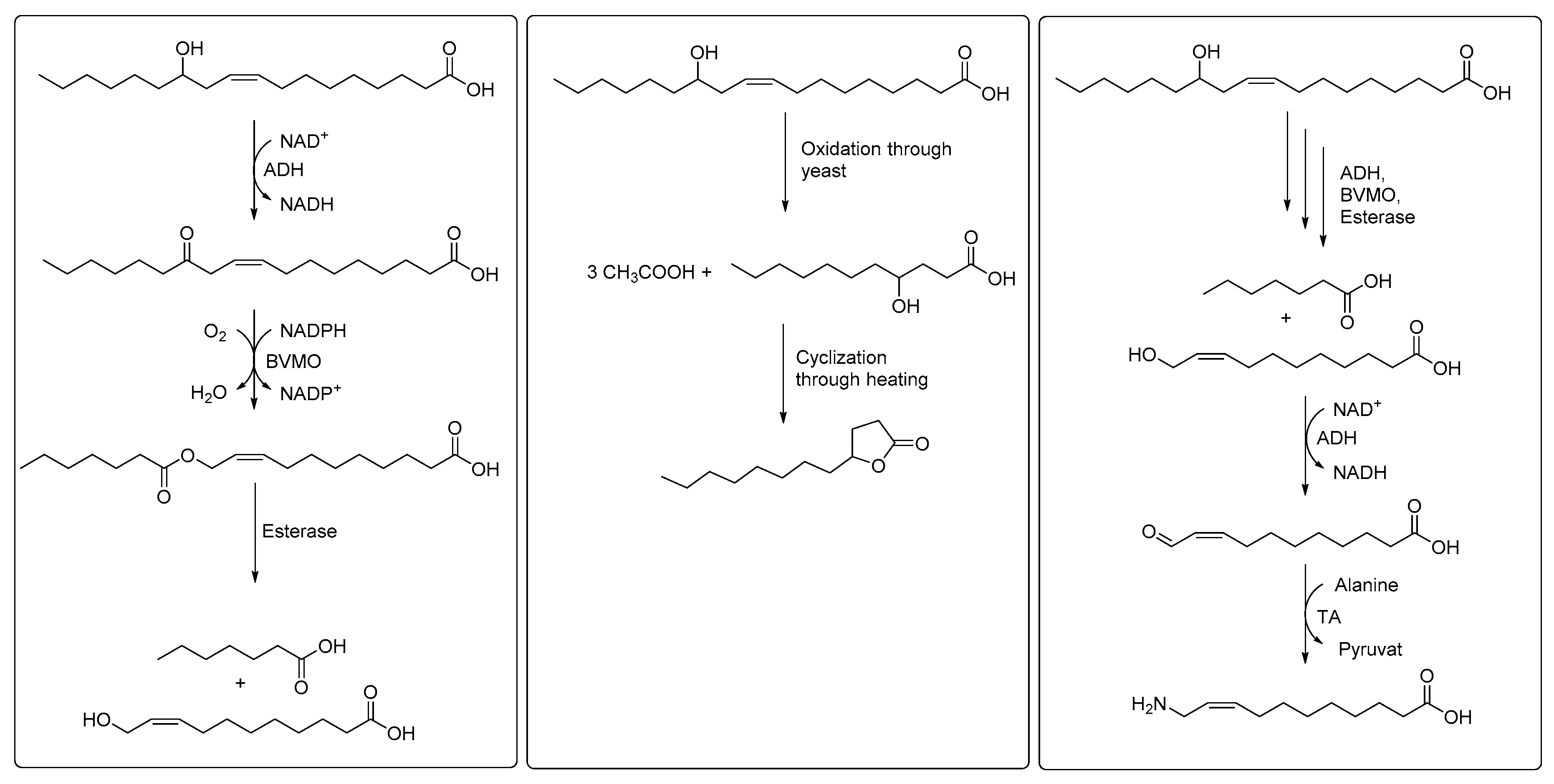 Catalysts 10 00287 g004