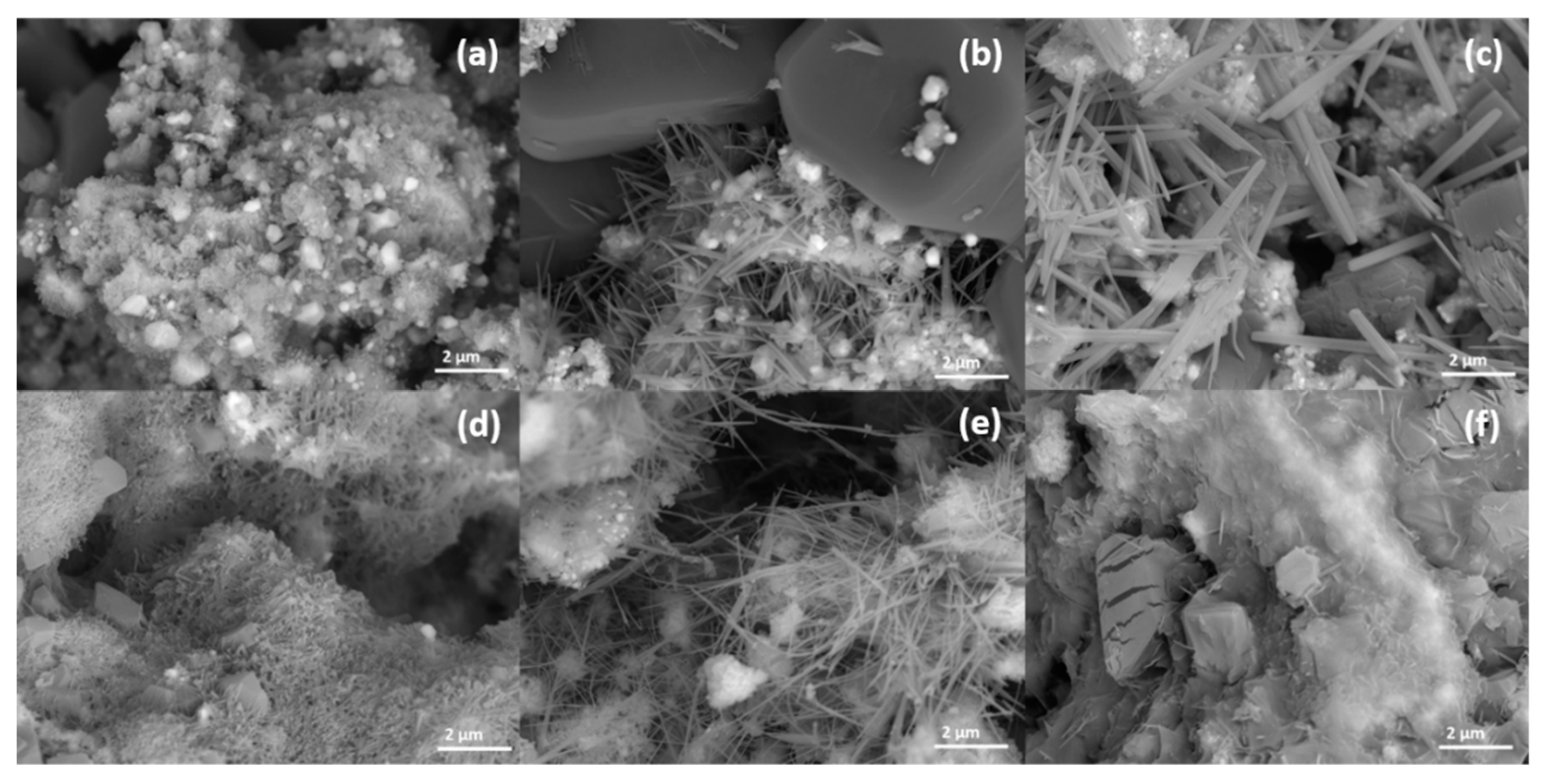 Catalysts 10 00294 g006