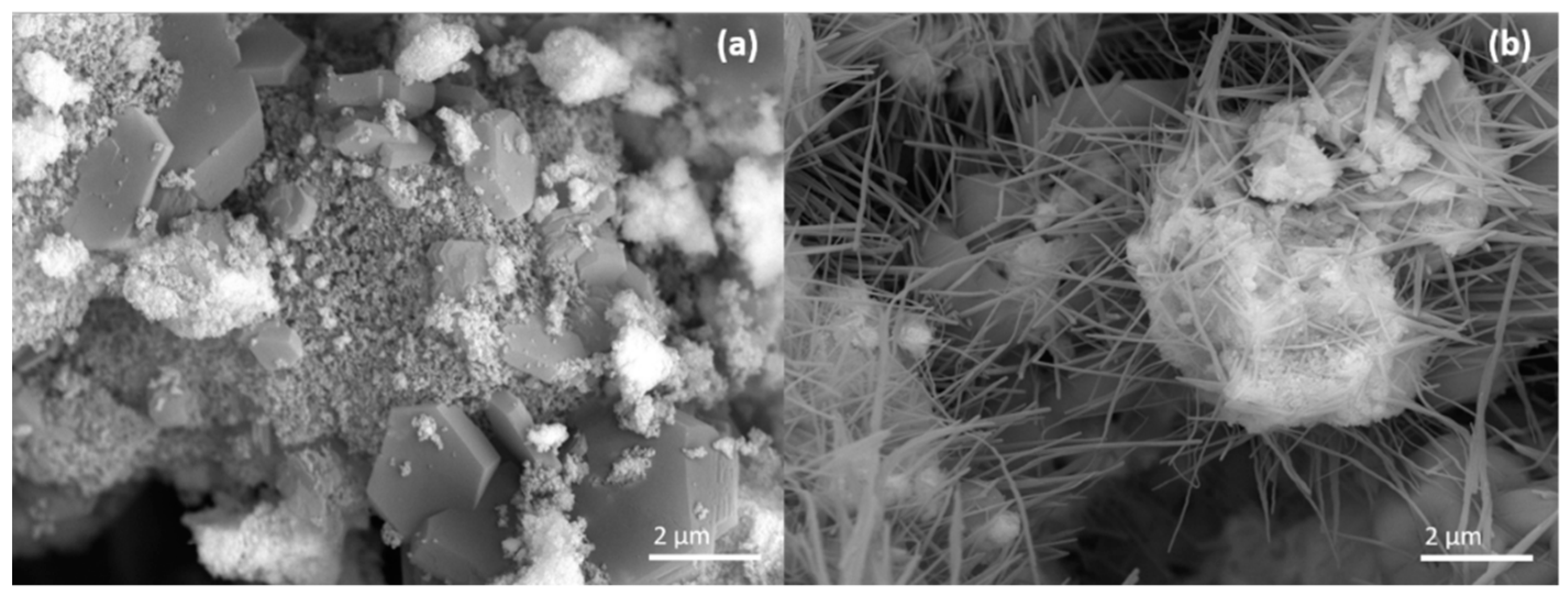 Catalysts 10 00294 g007