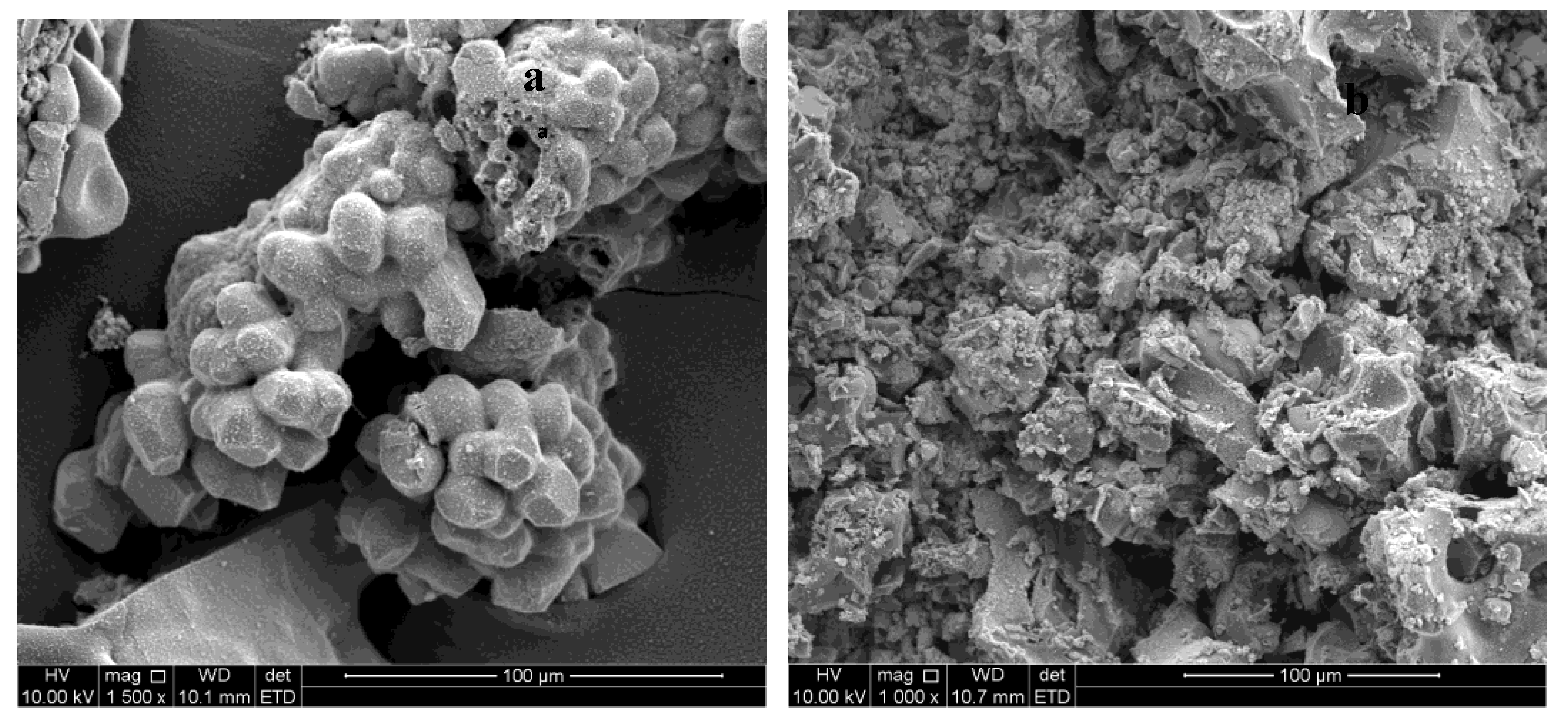 Catalysts 10 00300 g002