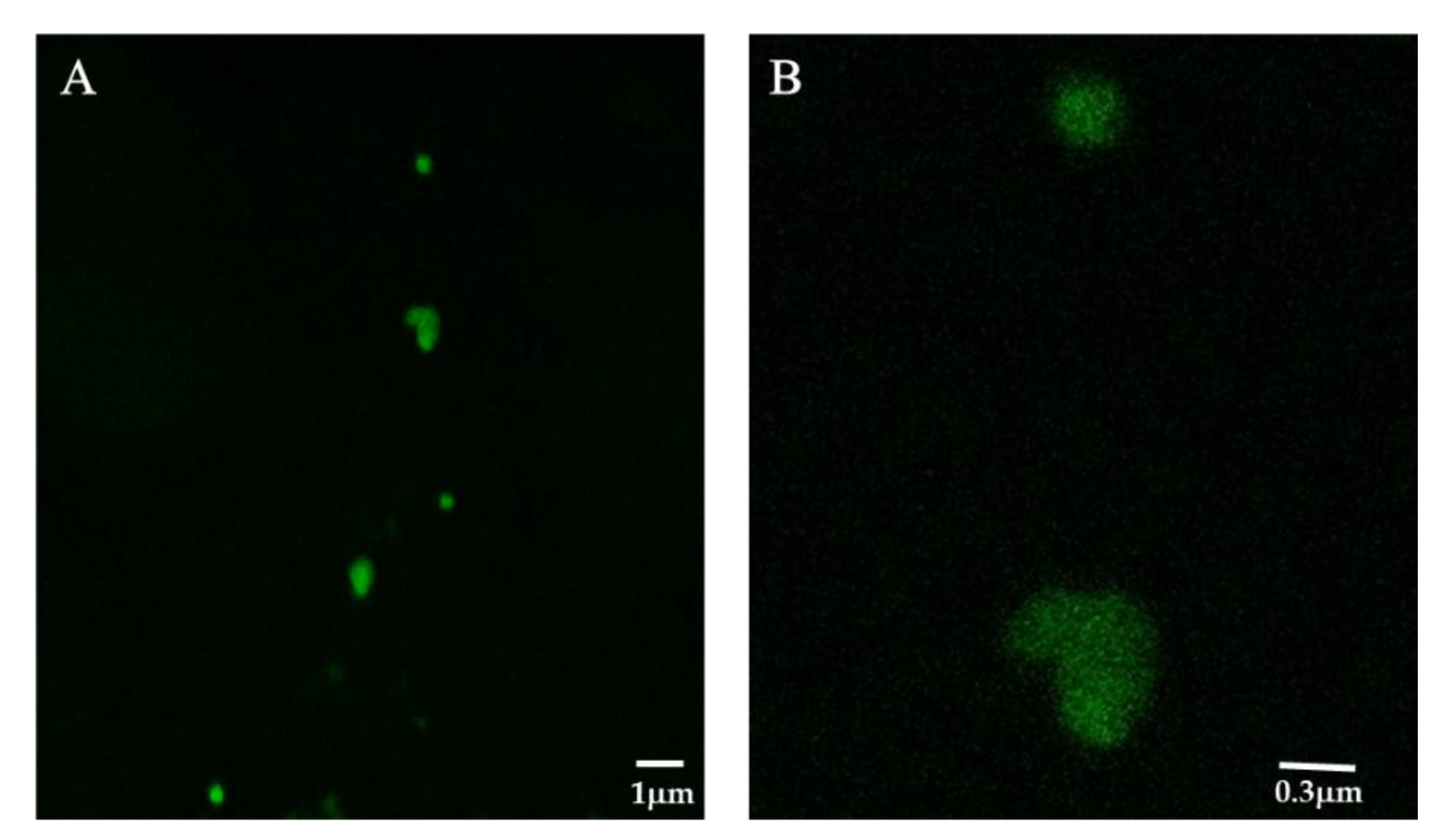 Catalysts 10 00313 g002