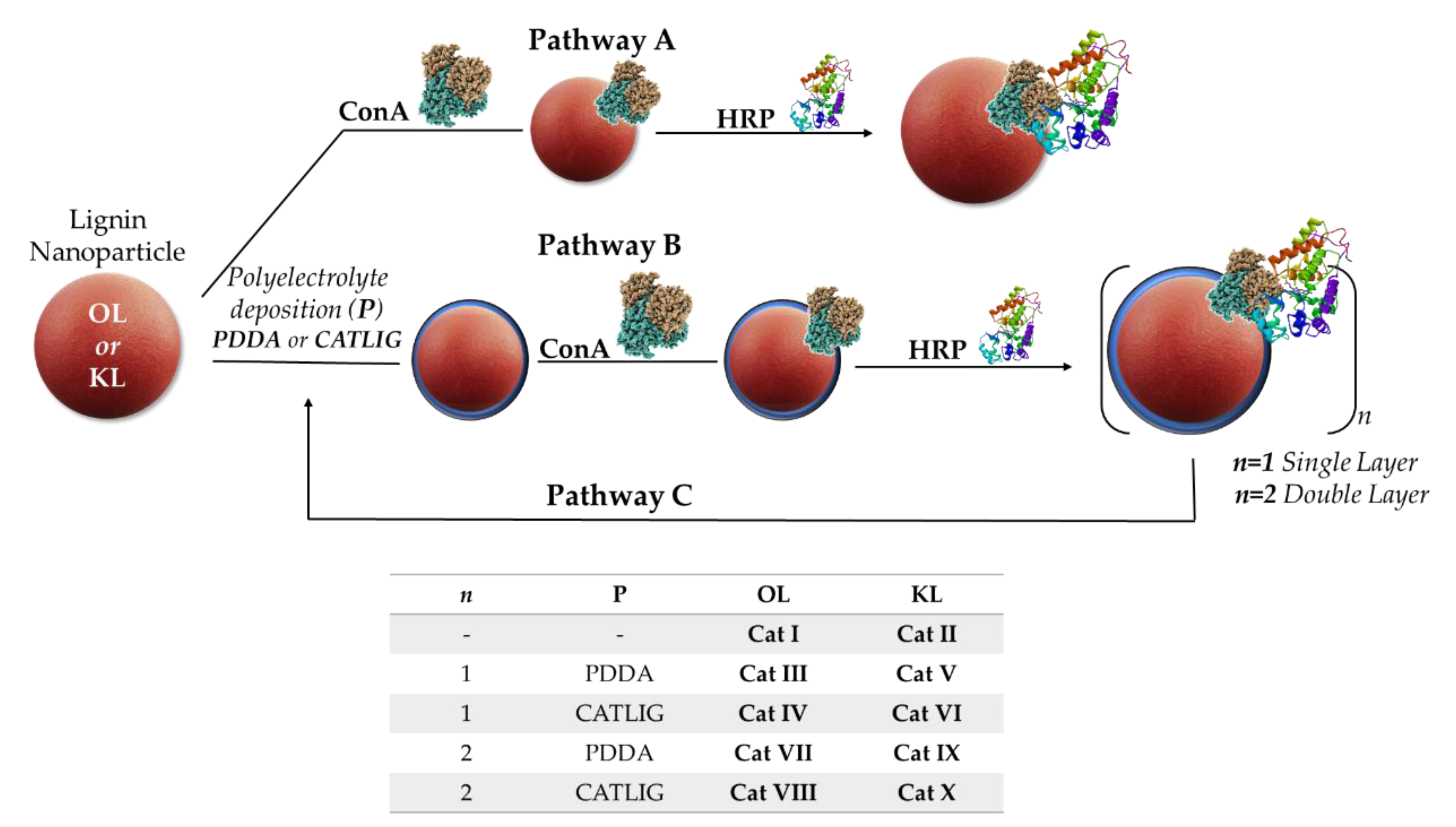 Catalysts 10 00313 sch001