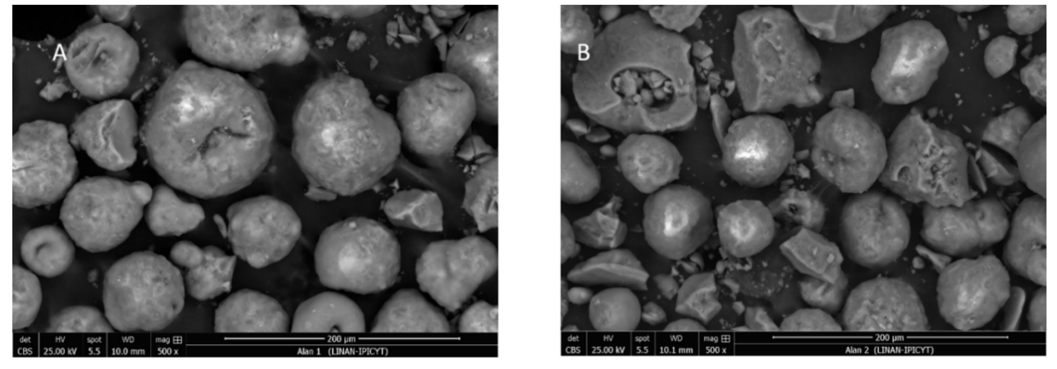 Catalysts 10 00316 g002