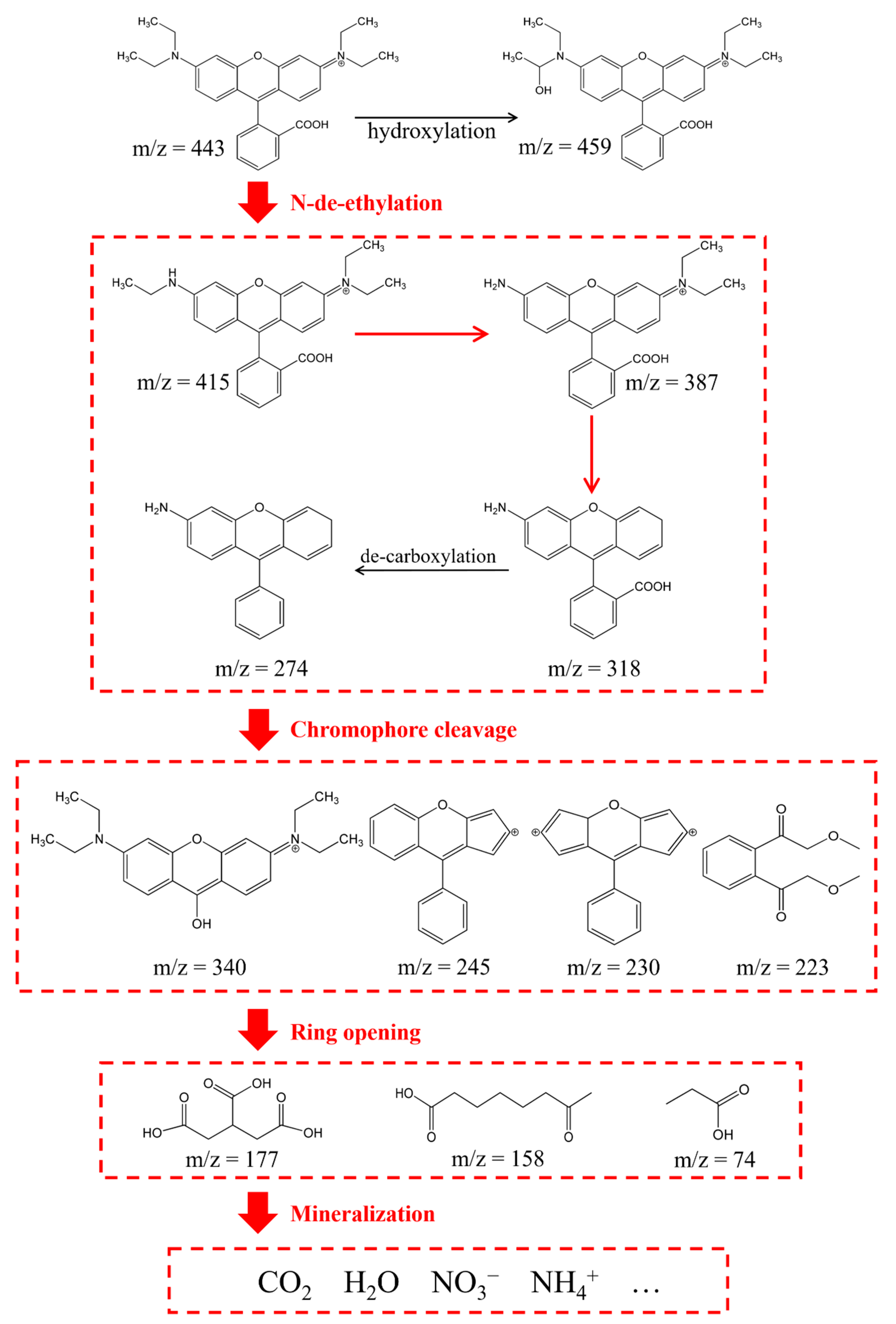 Catalysts | Free Full-Text | Kinetic And Mechanistic Study Of Rhodamine ...