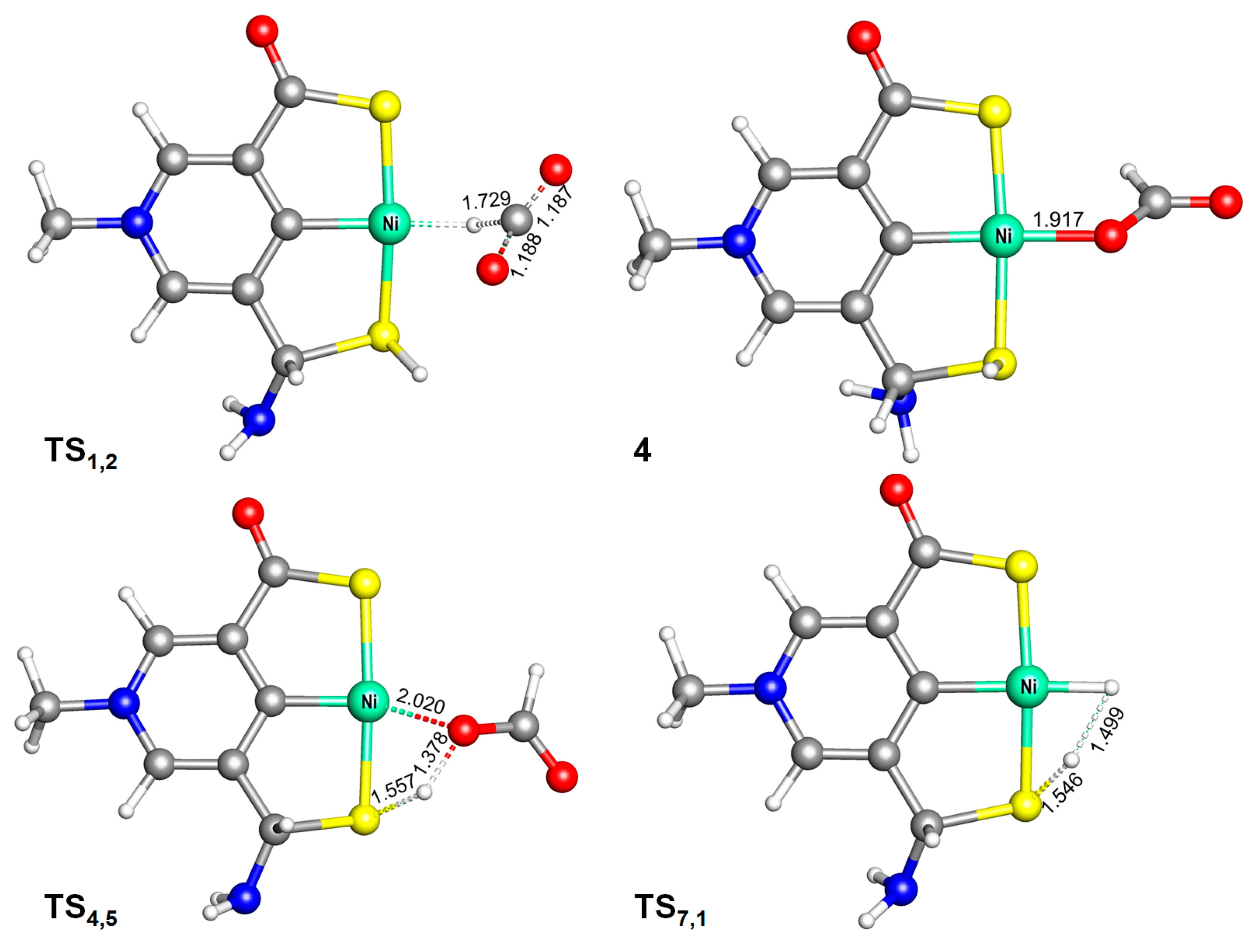 Catalysts 10 00319 g003
