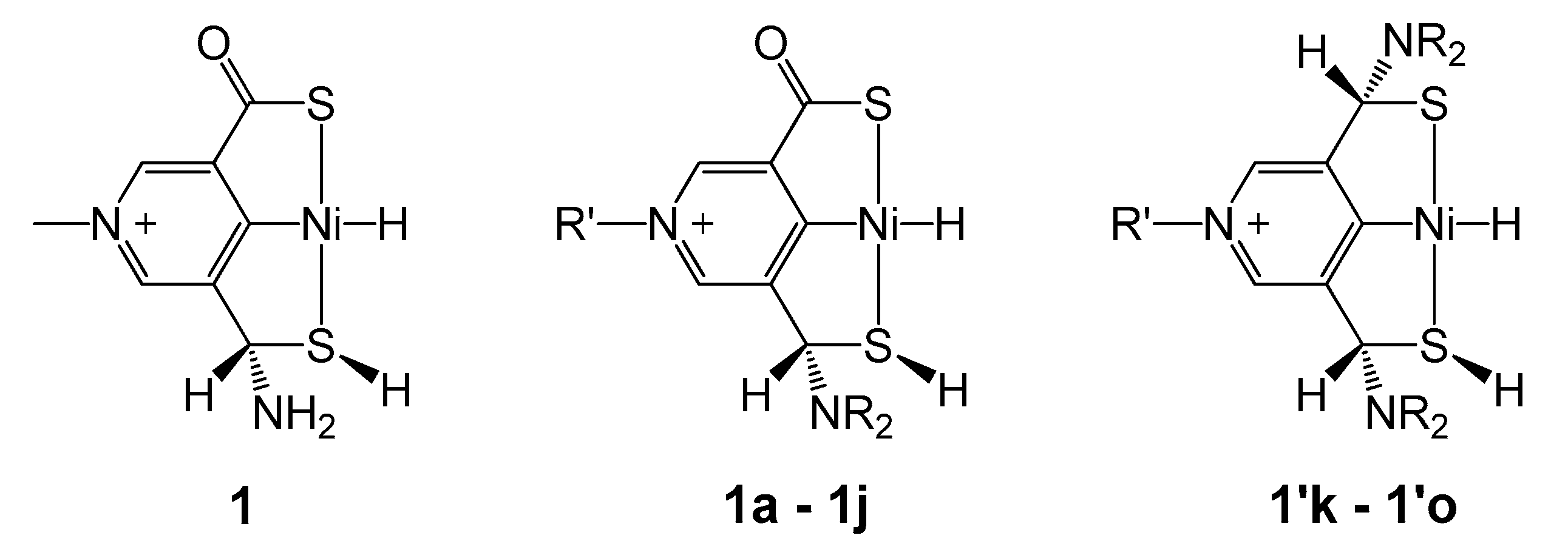 Catalysts 10 00319 g004