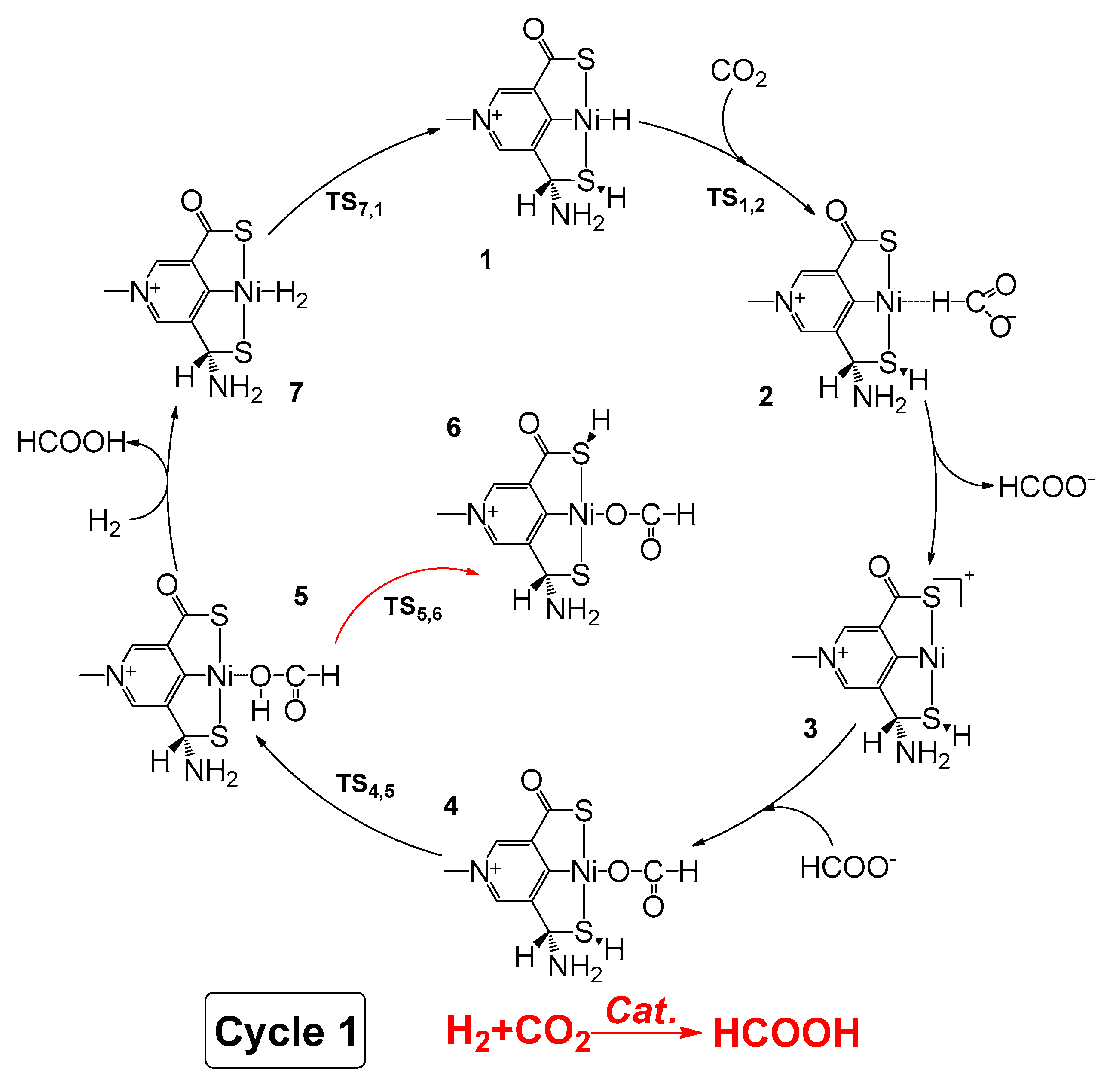 Catalysts 10 00319 sch001