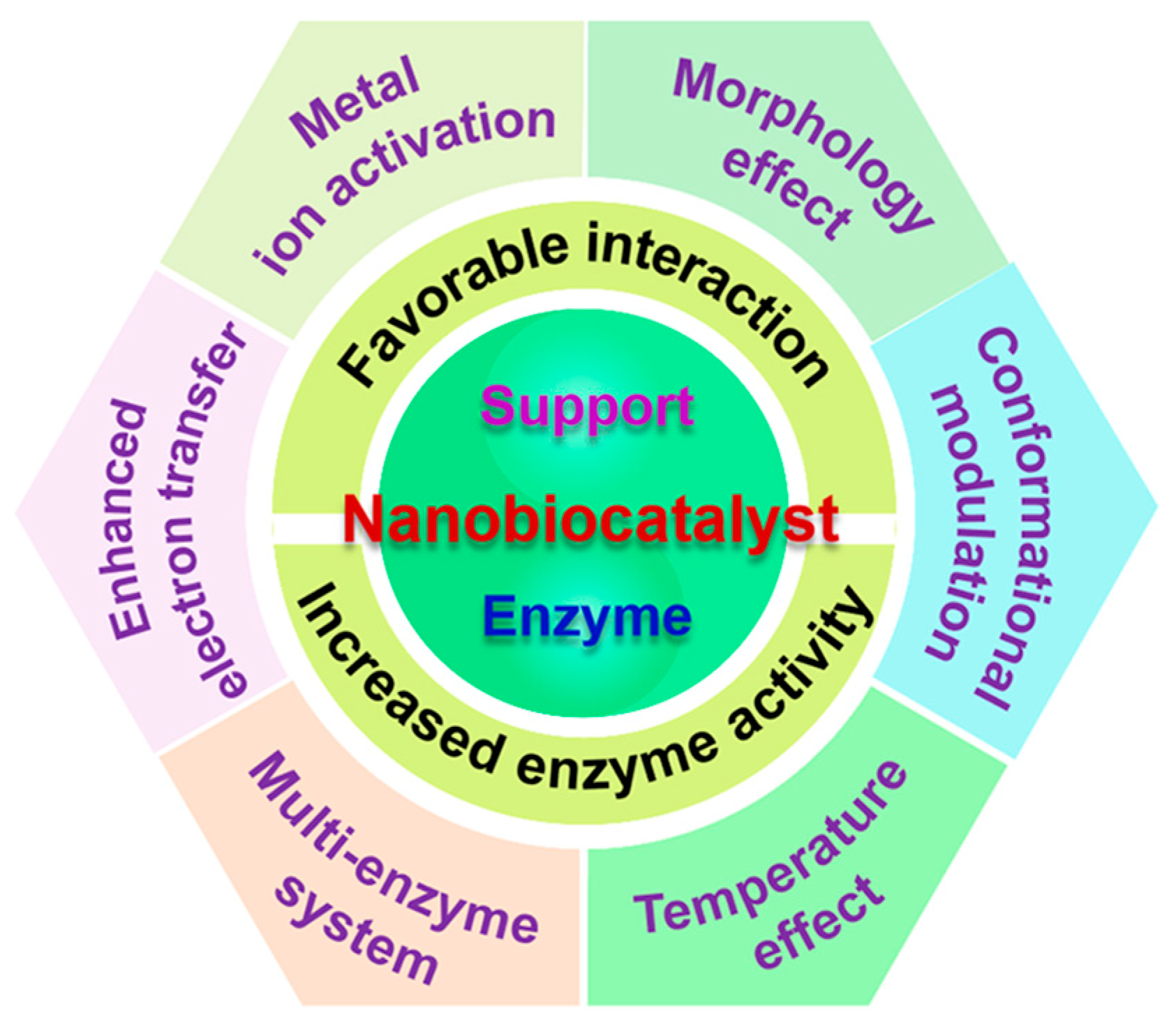 Catalysts Free FullText Recent Advances in EnzymeNanostructure