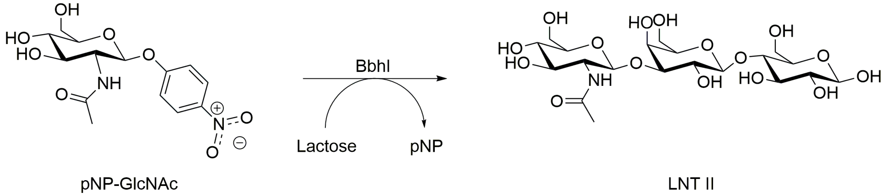 Catalysts Free Full Text B N Acetylhexosaminidases For Carbohydrate Synthesis Via Trans Glycosylation Html