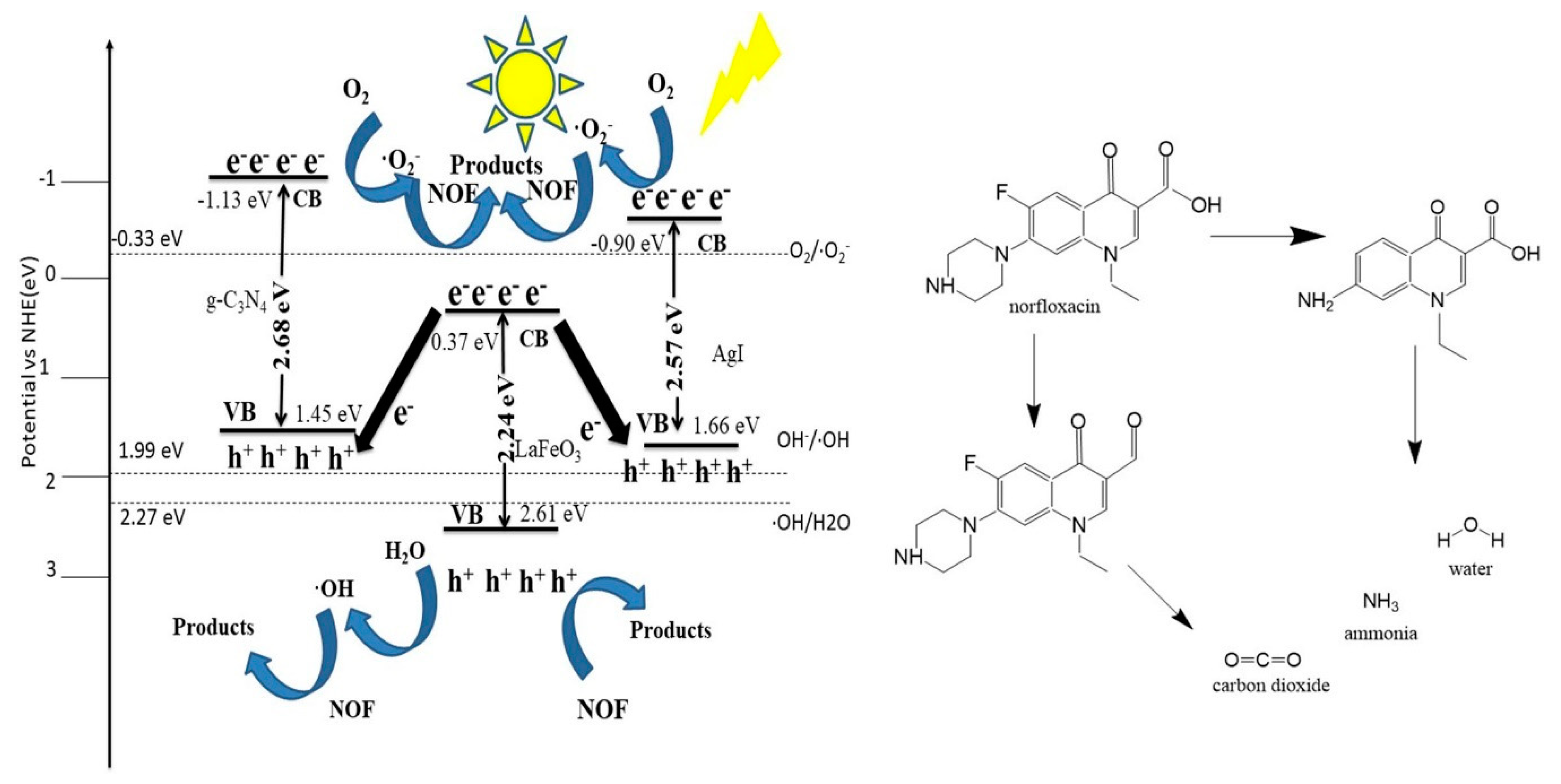 Catalysts 10 00373 g010