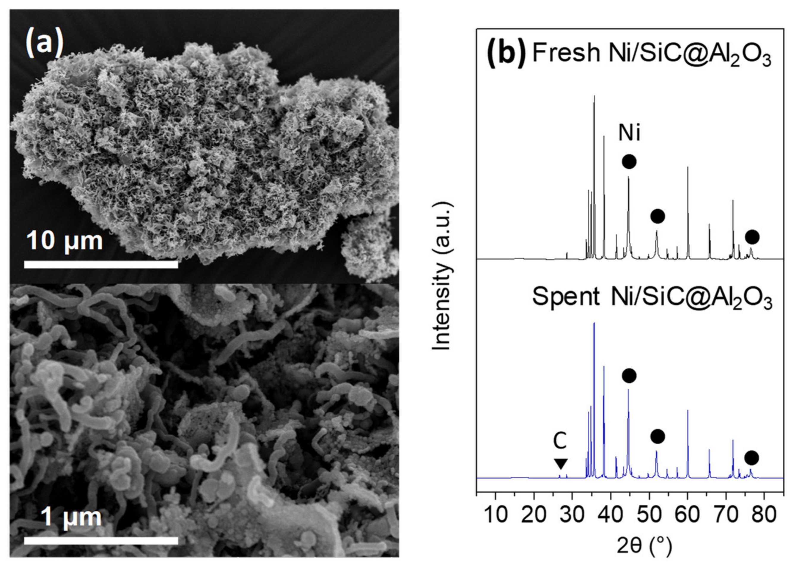 Catalysts 10 00391 g011 Catalysts 10 00391 g011