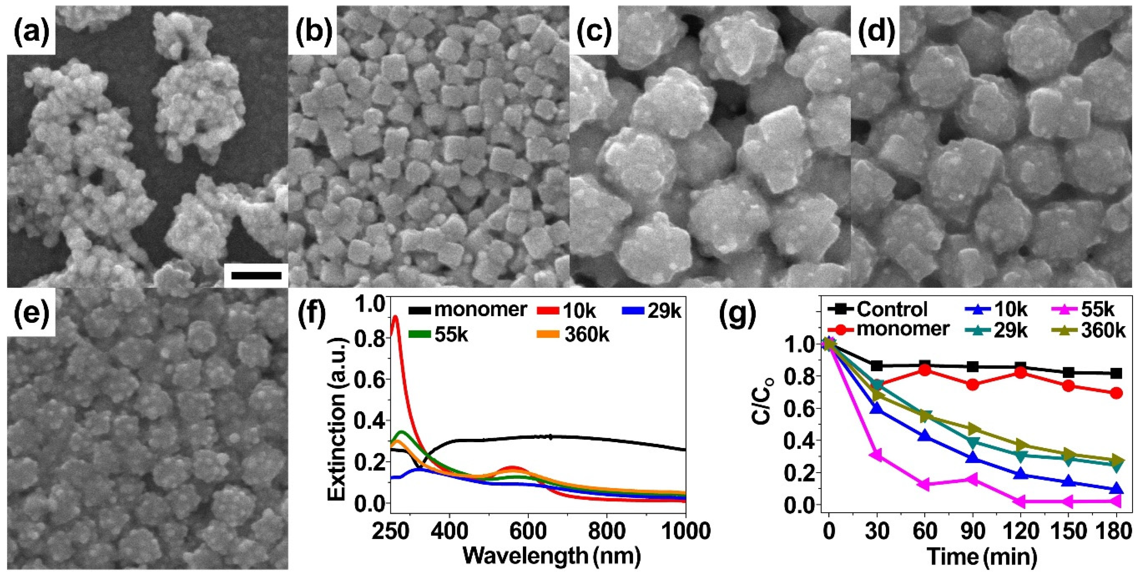 Catalysts 10 00405 g001