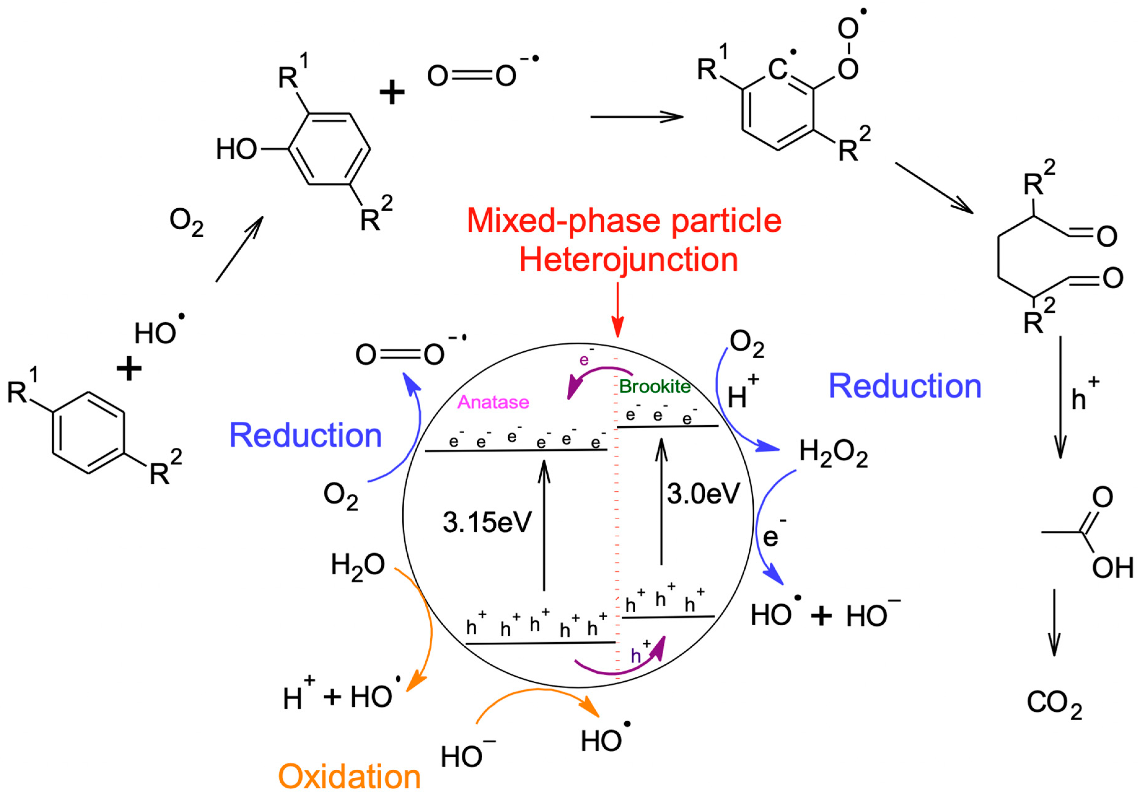 Catalysts 10 00407 sch001