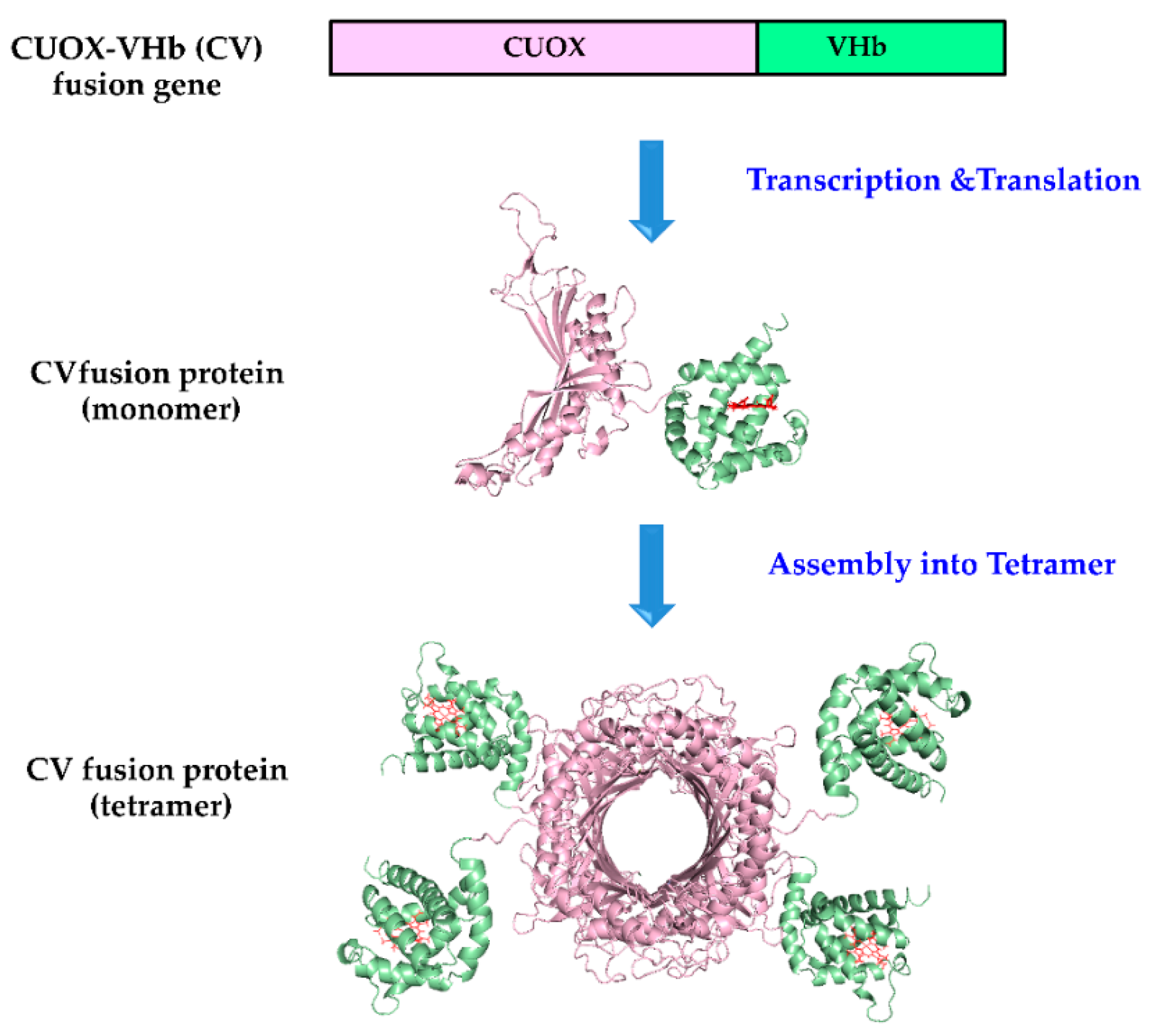 Catalysts 10 00428 g001 Catalysts 10 00428 g001