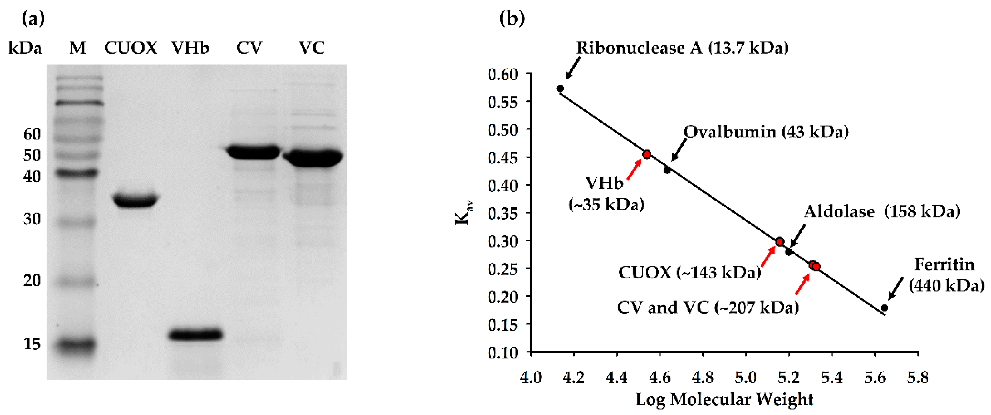 Catalysts 10 00428 g002 Catalysts 10 00428 g002
