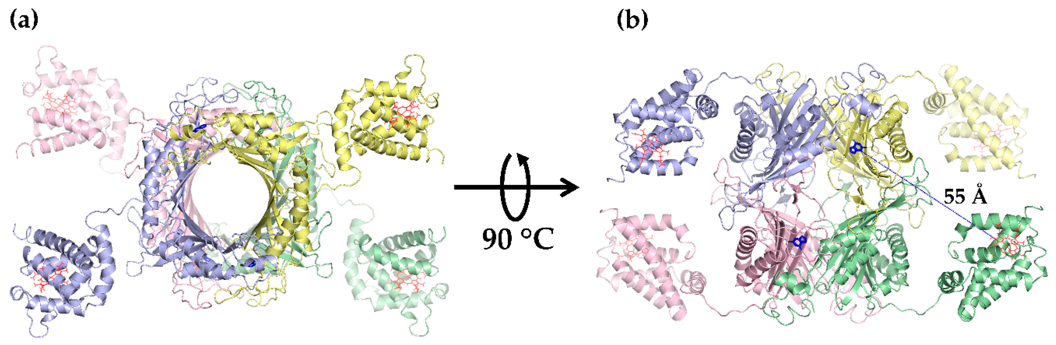 Catalysts 10 00428 g003 Catalysts 10 00428 g003