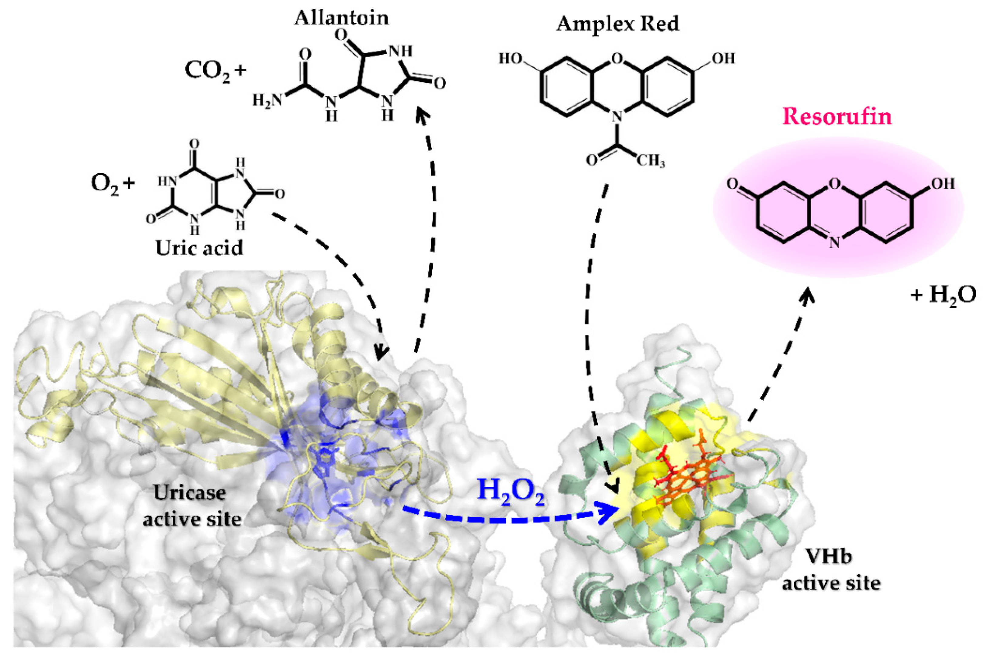 Catalysts 10 00428 g009 Catalysts 10 00428 g009