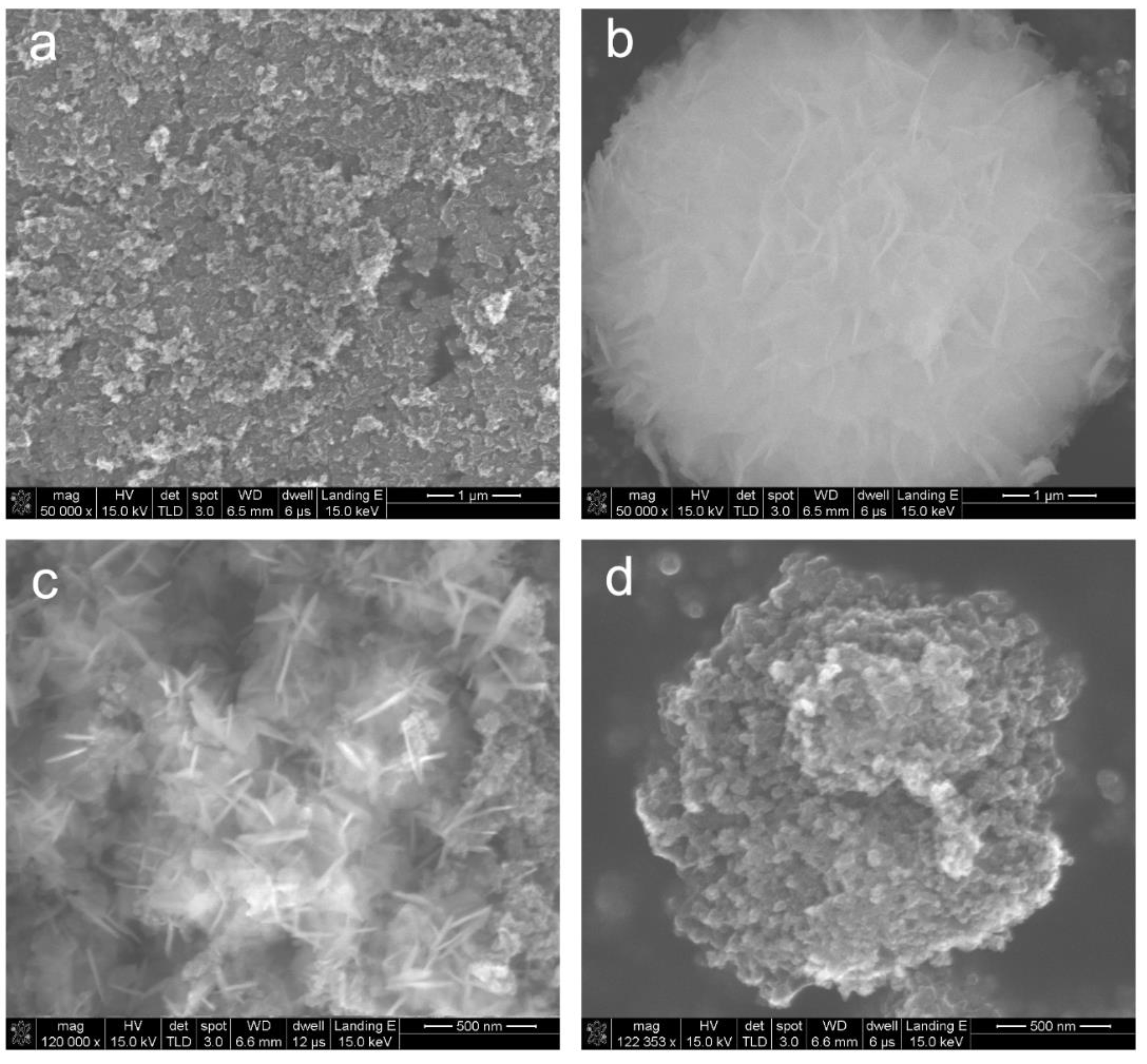 Catalysts 10 00431 g002