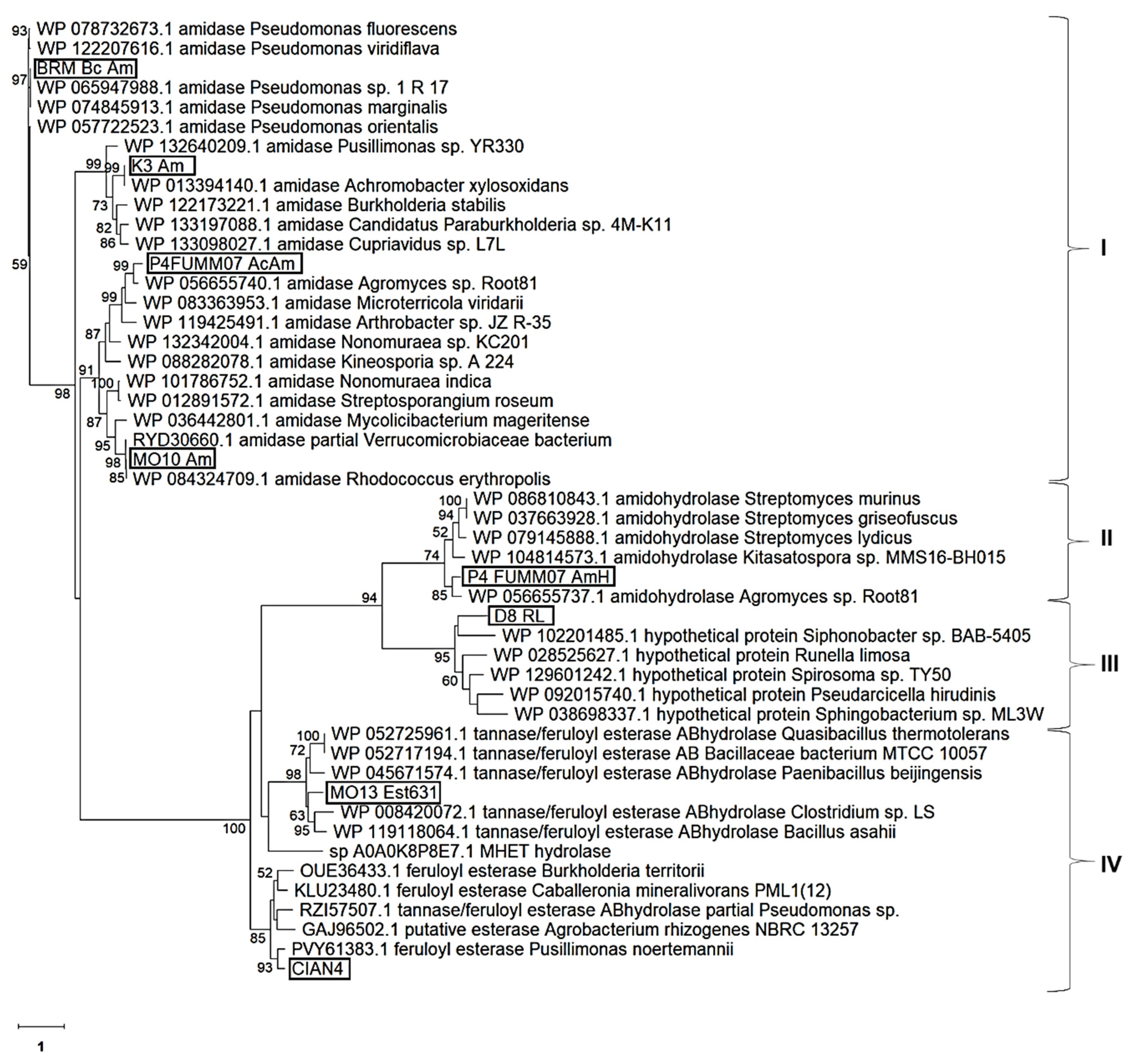 Catalysts 10 00445 g002