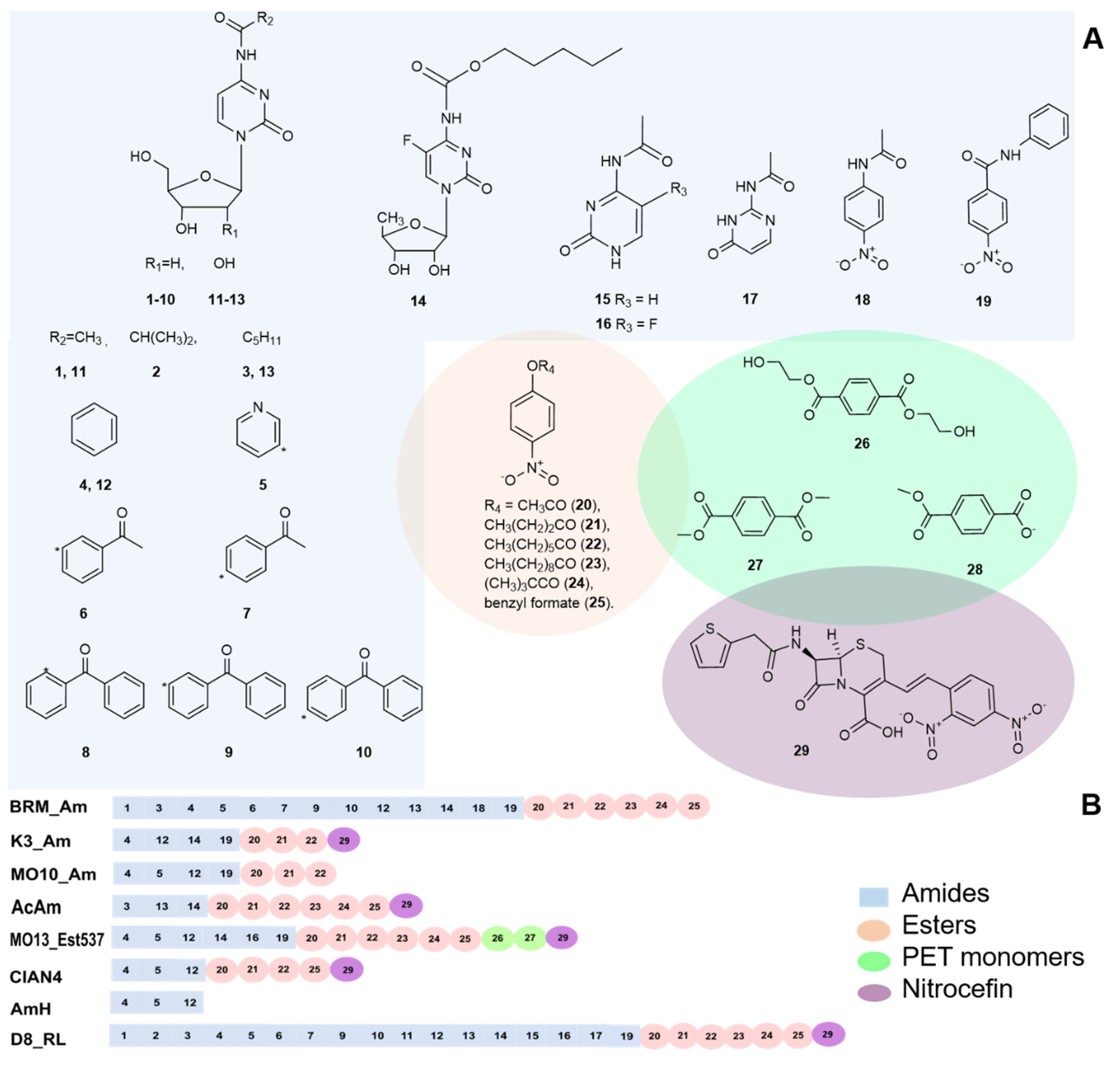 Catalysts 10 00445 g004