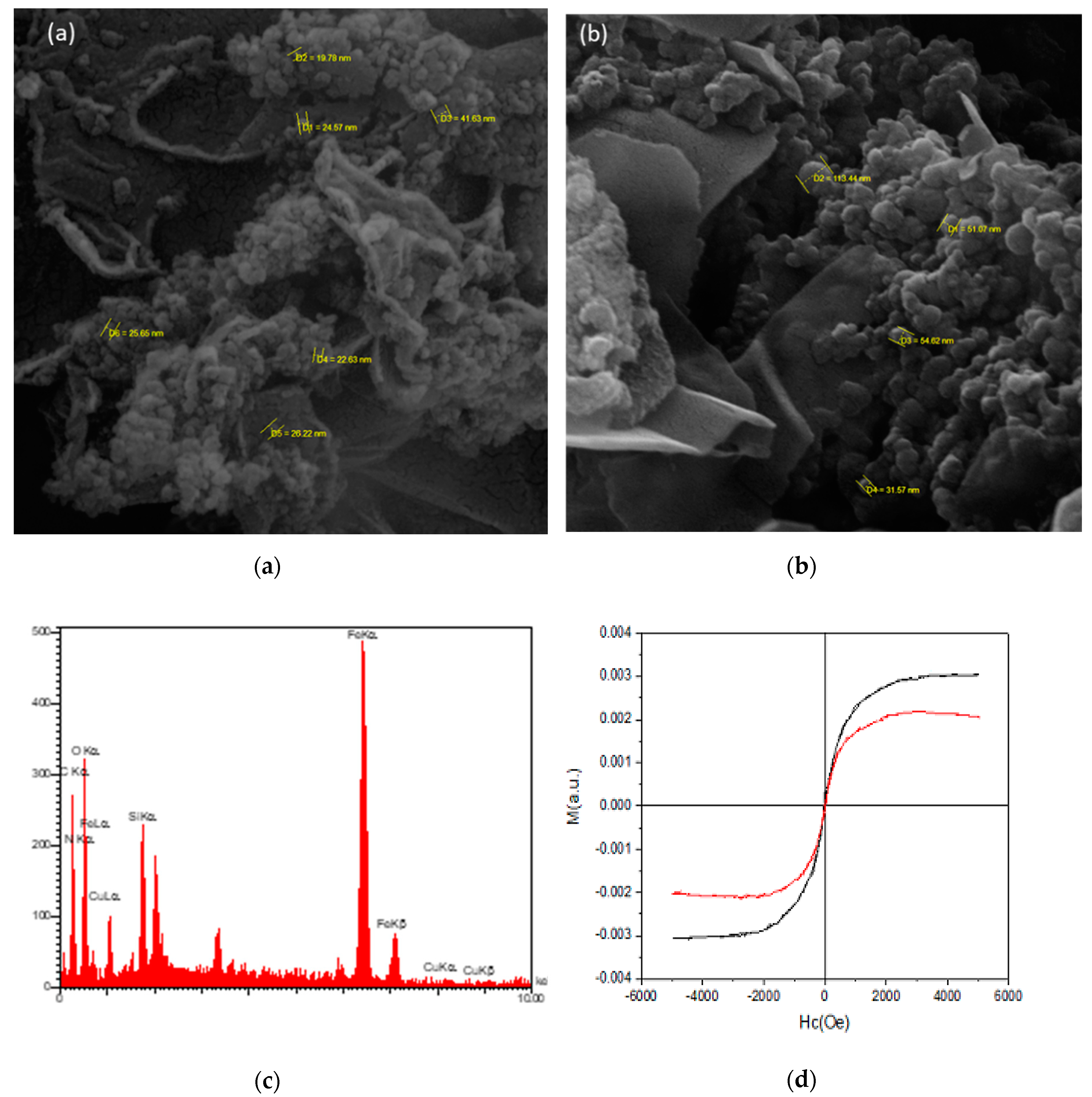 Catalysts 10 00459 g002a Catalysts 10 00459 g002a