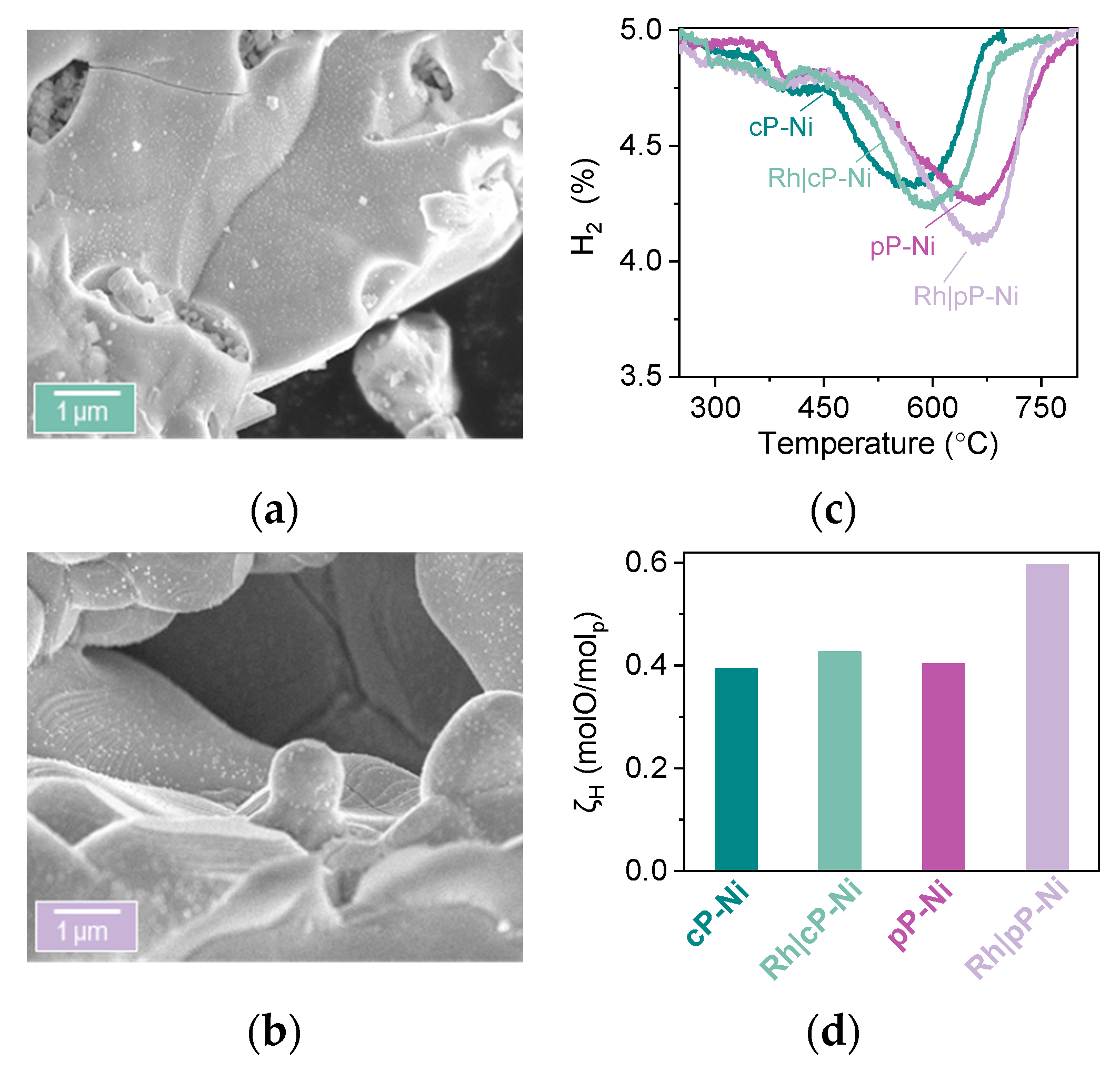 Catalysts 10 00468 g006