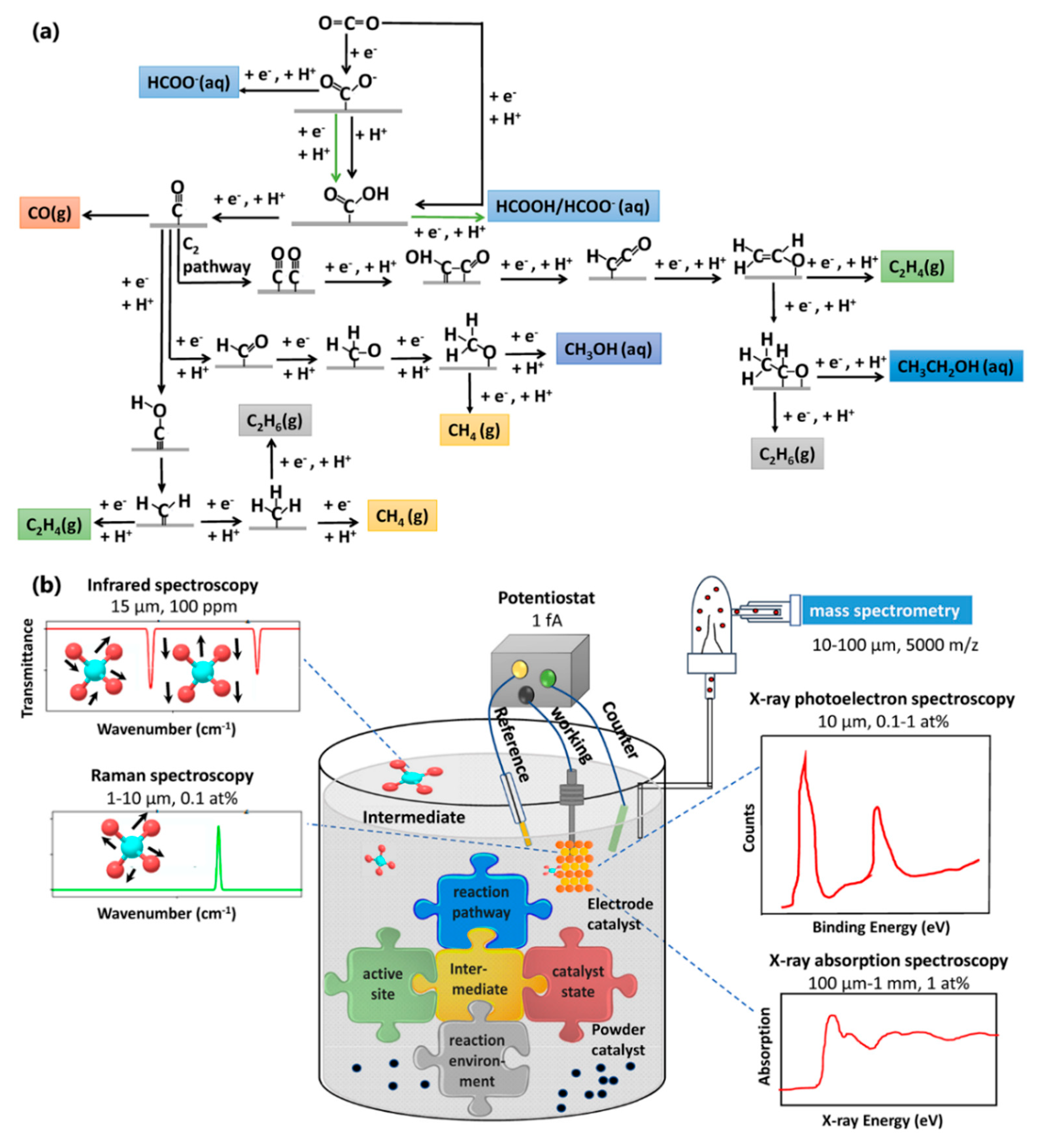 Modeling the electrical double layer to understand the reaction environment  in a CO2 electrocatalytic system - Energy & Environmental Science (RSC  Publishing)