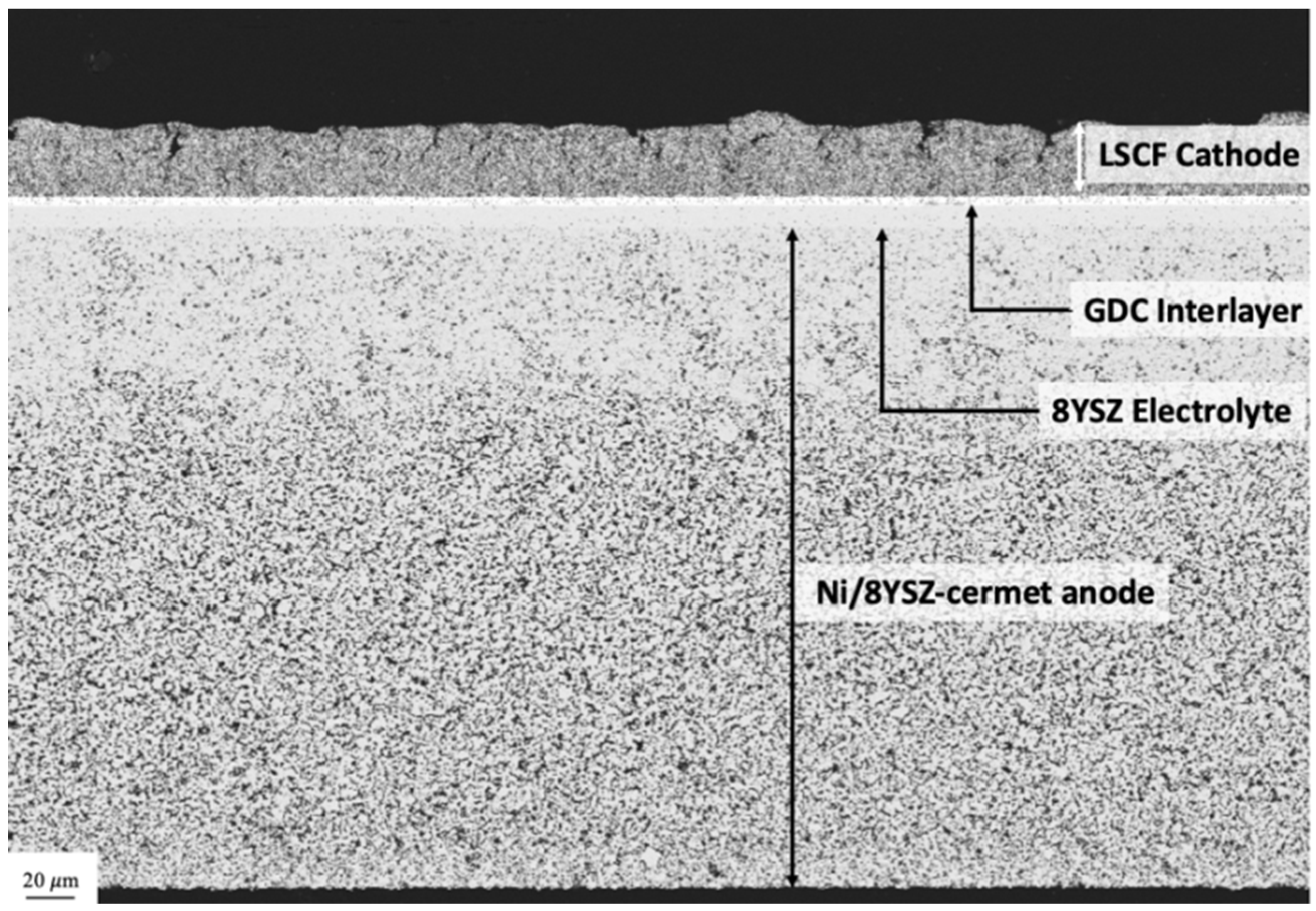 Catalysts 10 00519 g007