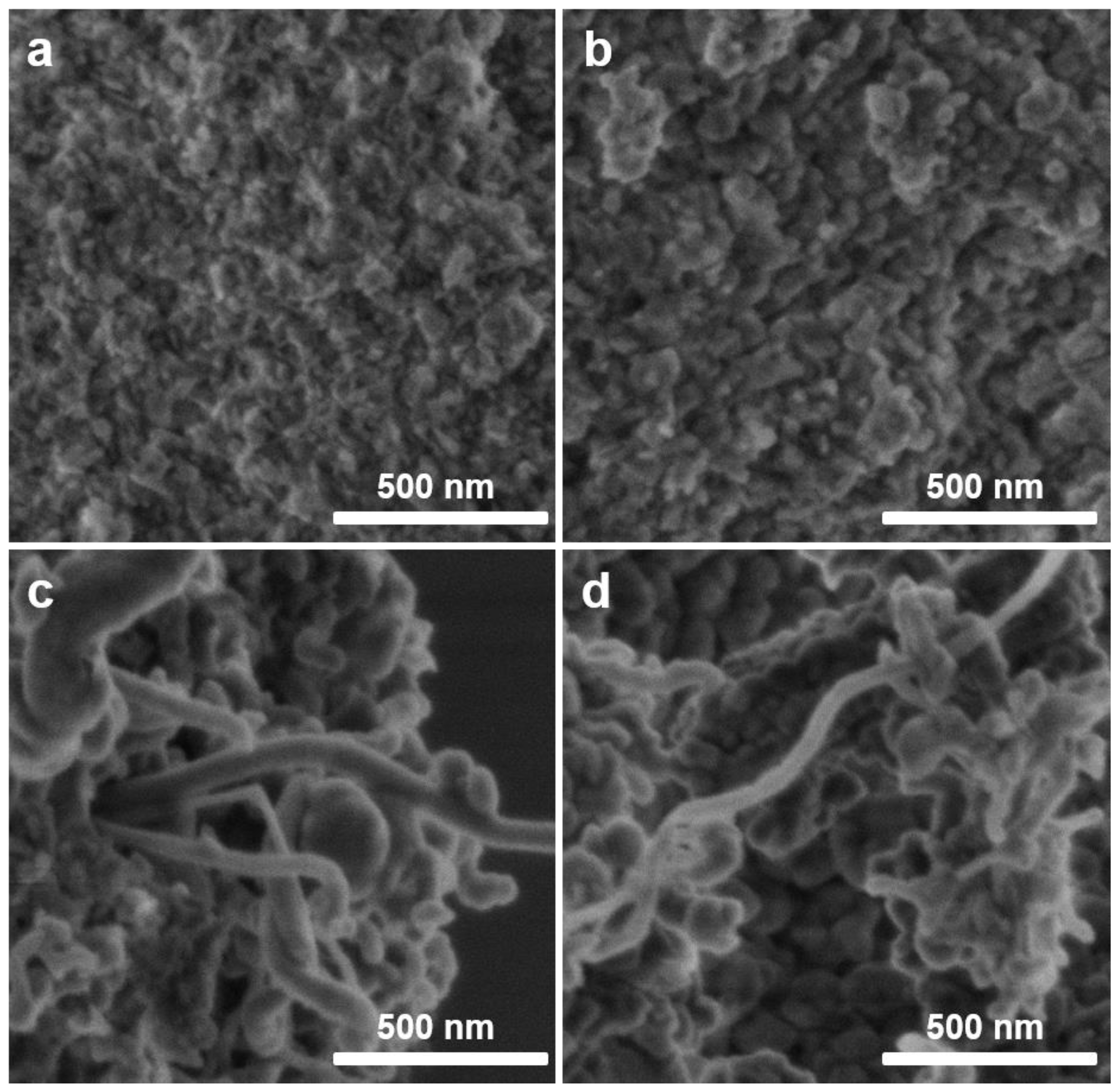Catalysts 10 00544 g009