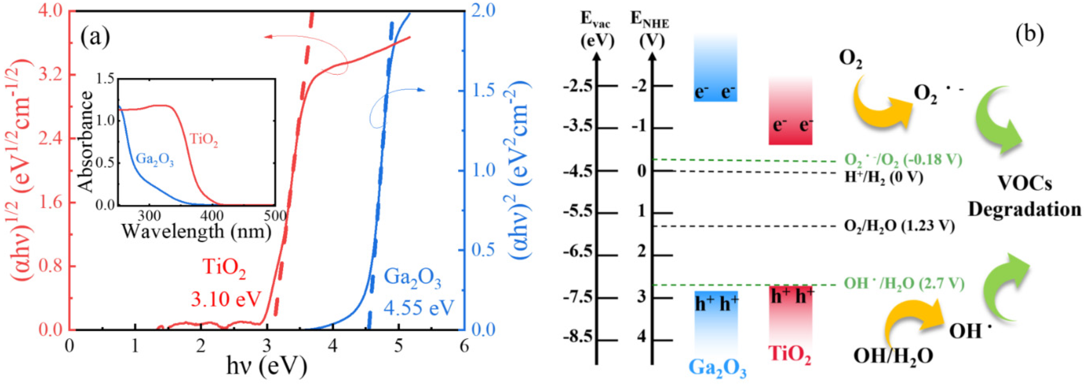 Catalysts 10 00545 g004