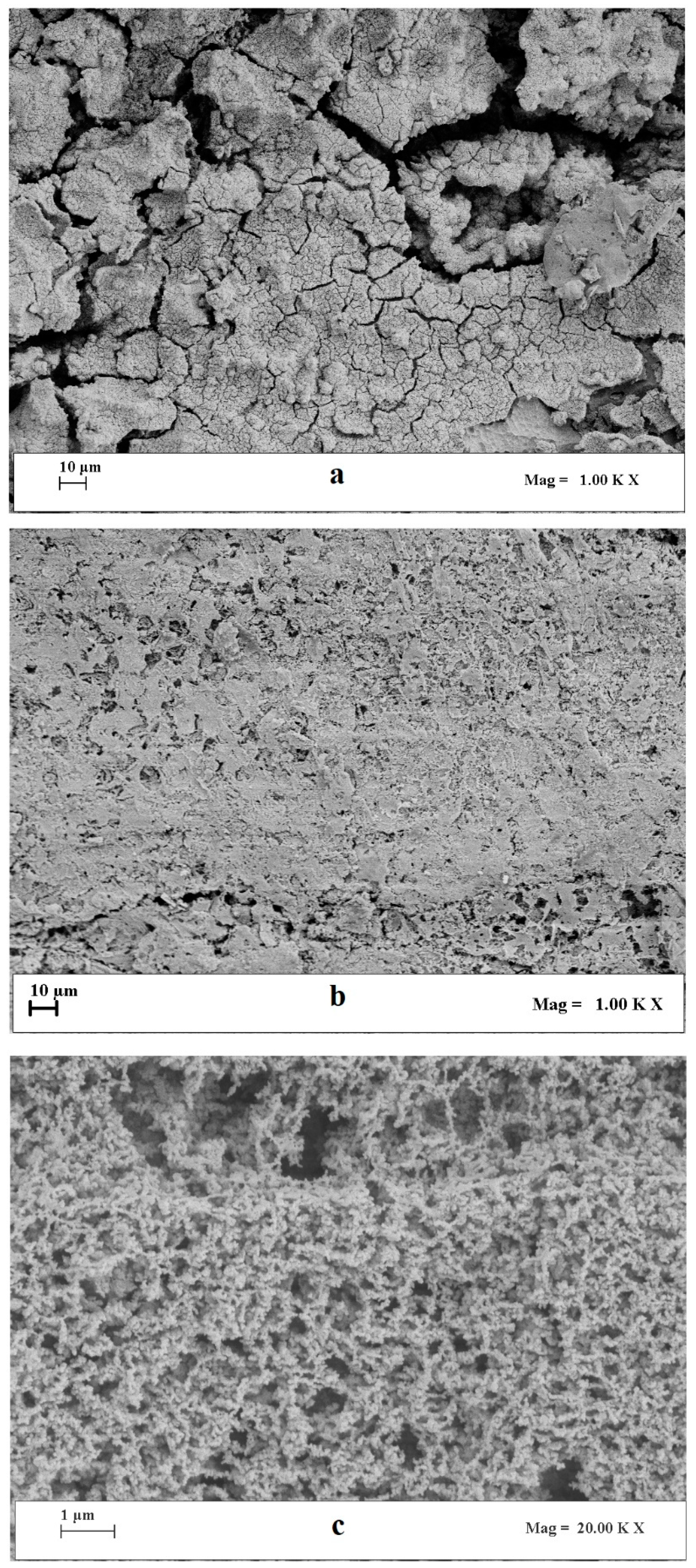 Catalysts 10 00564 g008 Catalysts 10 00564 g008