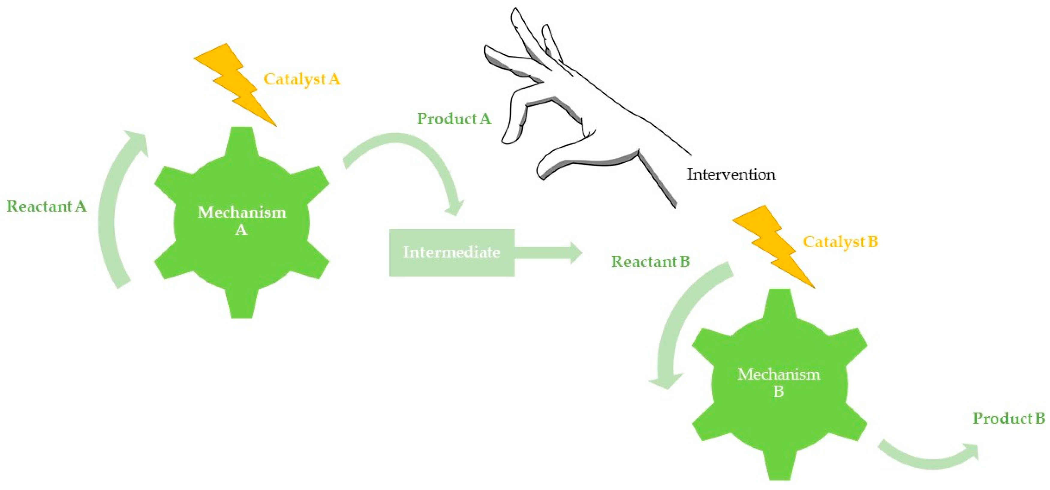 Catalysts 10 00631 g004