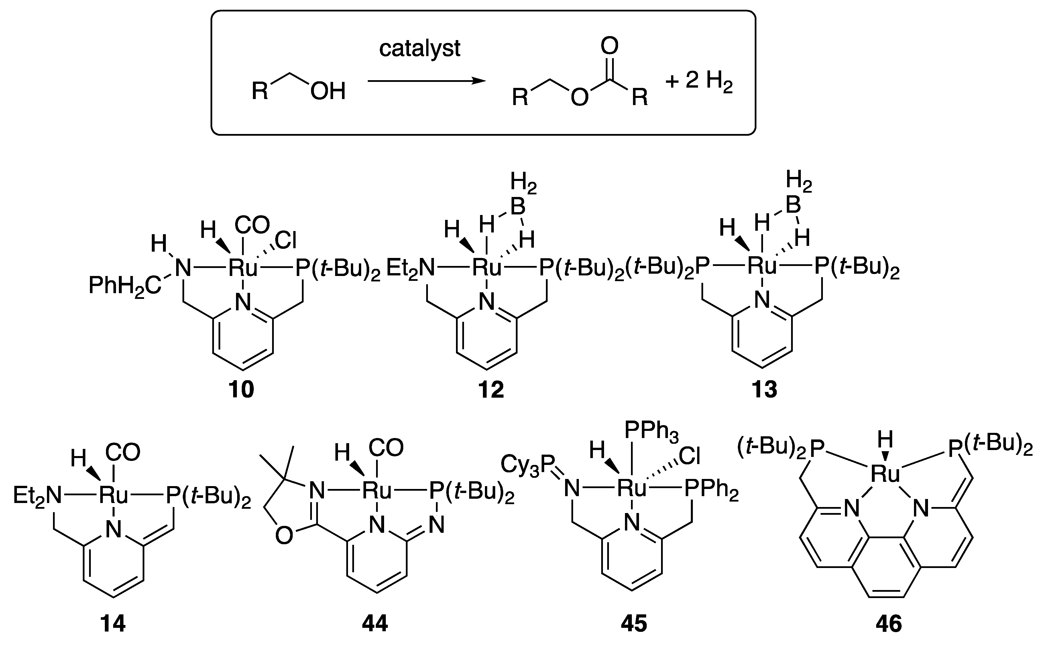 Catalysts 10 00635 g003 Catalysts 10 00635 g003