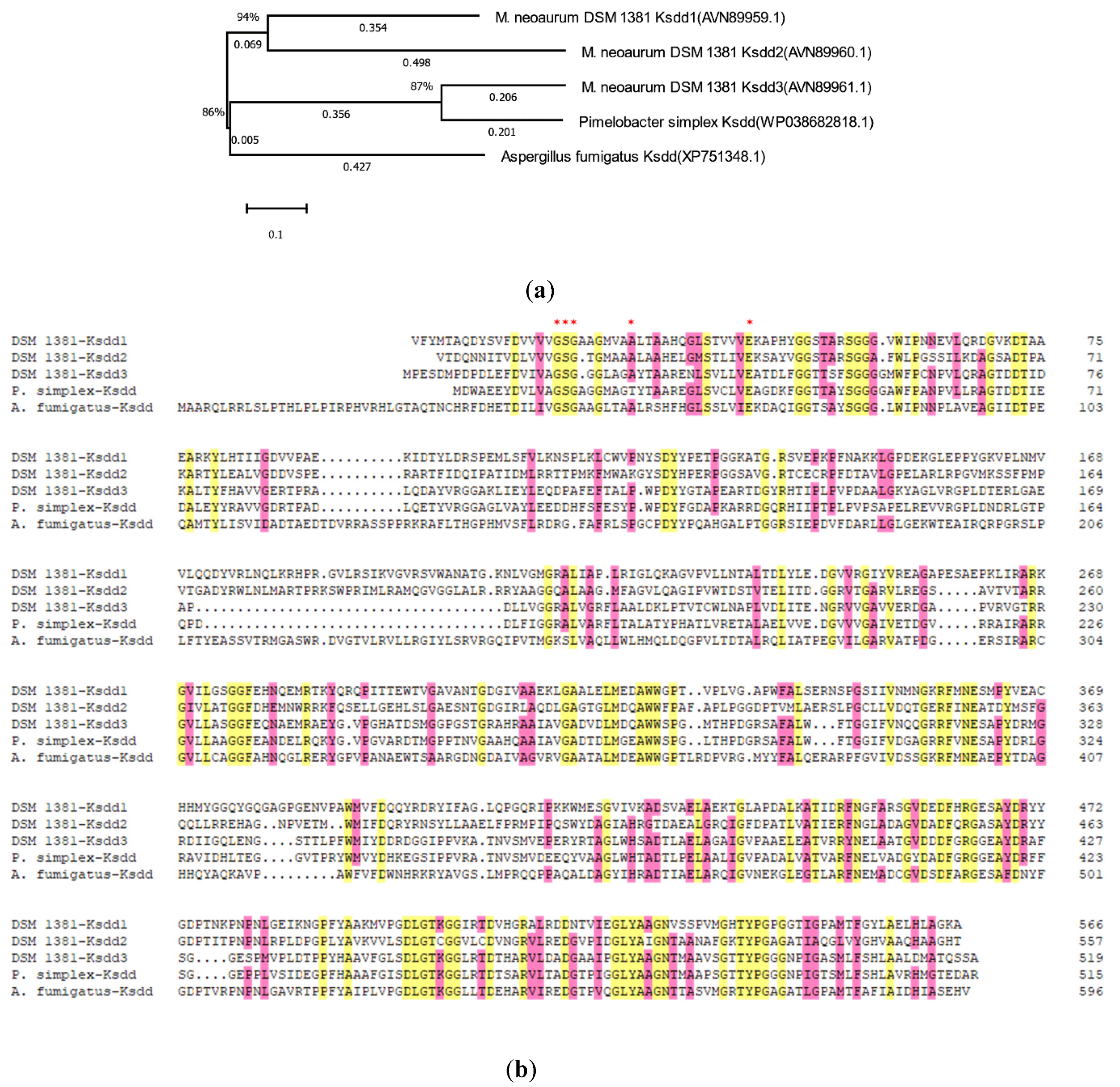 Catalysts 10 00663 g002