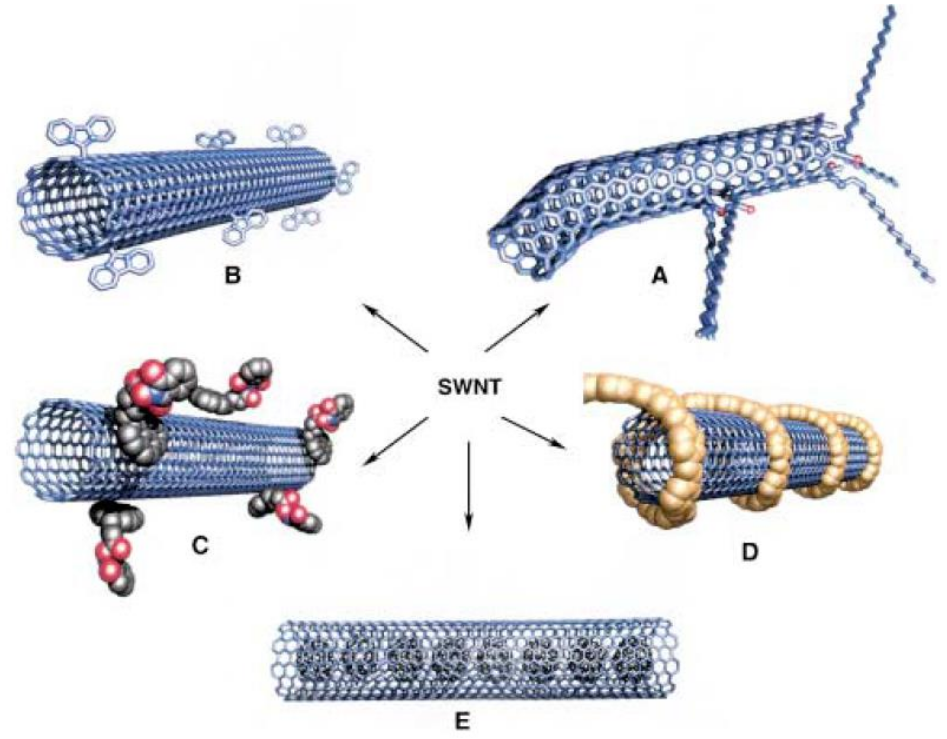 Catalysts Free Full Text Carbonaceous Nanomaterials Employed In The Development Of Electrochemical Sensors Based On Screen Printing Technique A Review Html