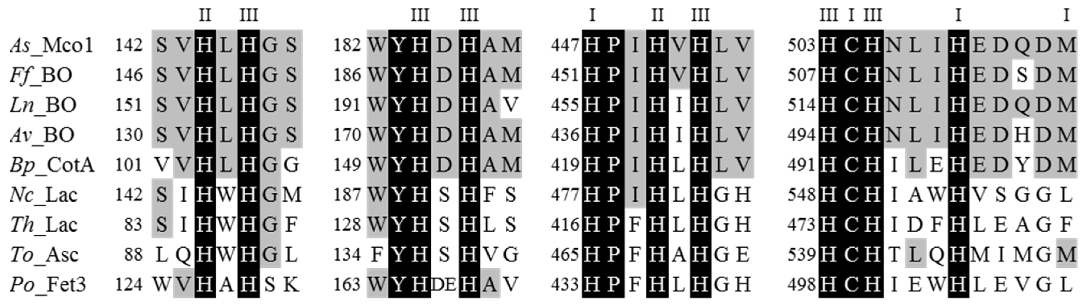 Catalysts 10 00686 g002 Catalysts 10 00686 g002