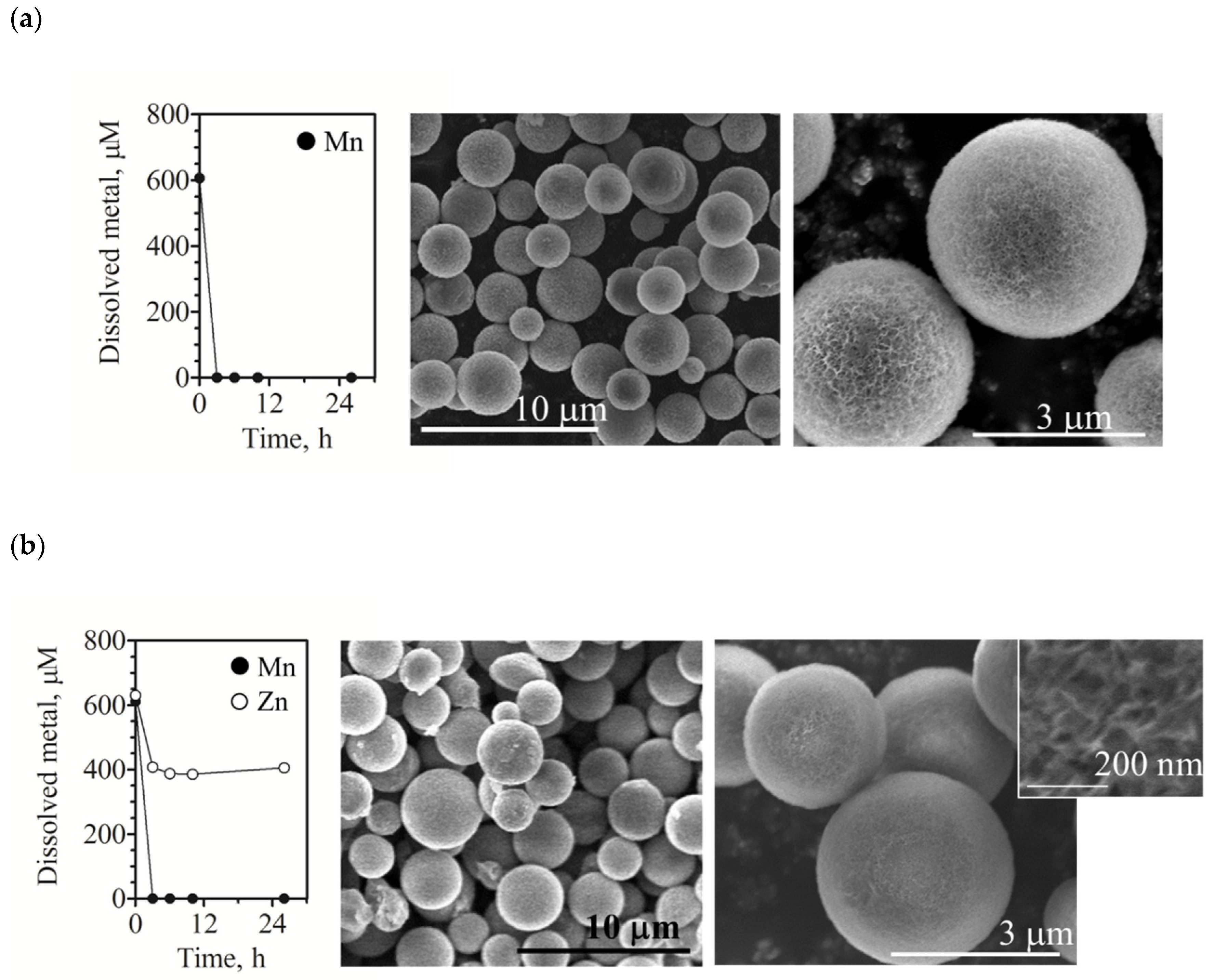 Catalysts 10 00686 g004 Catalysts 10 00686 g004