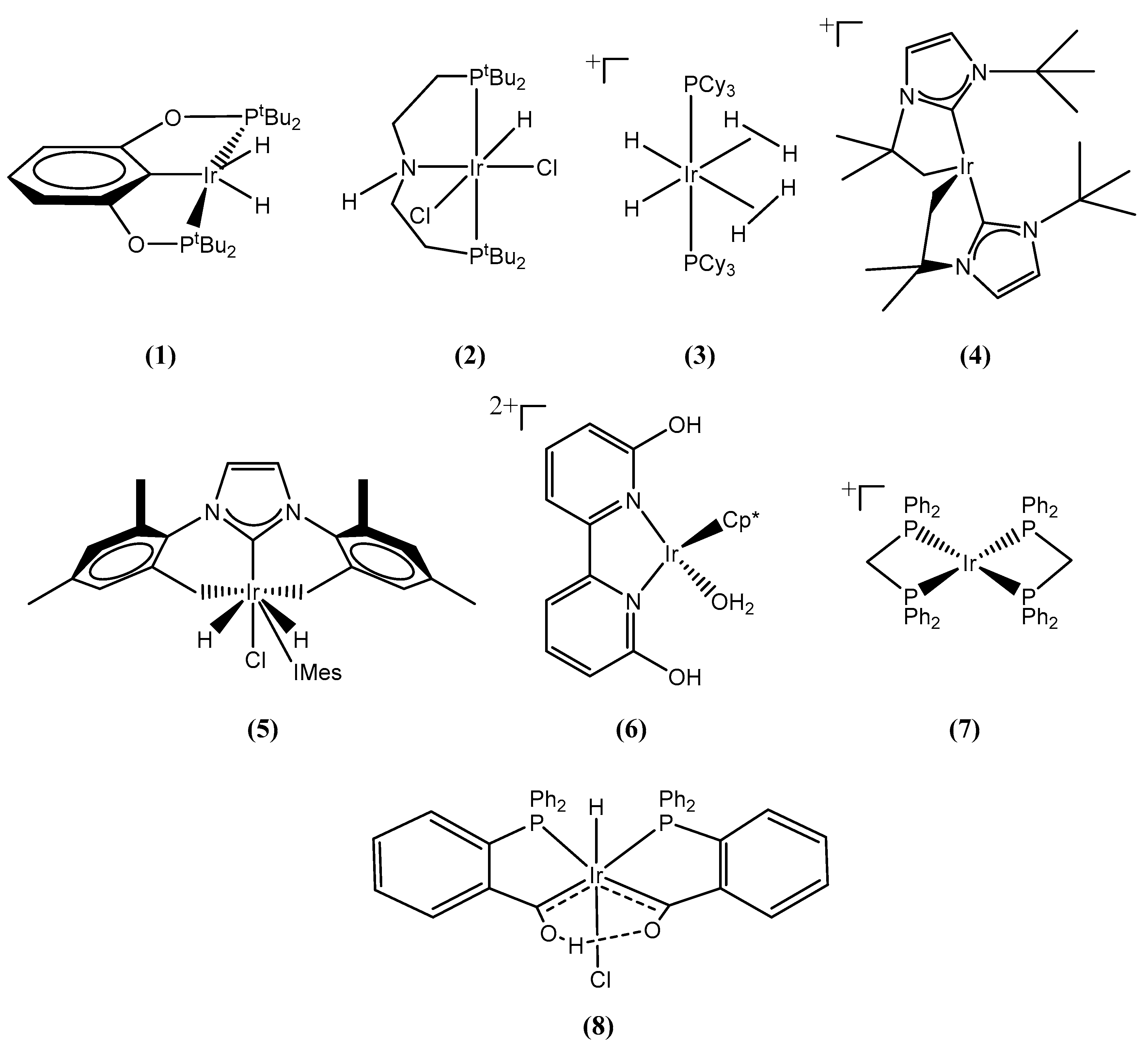 Catalysts 10 00723 g001