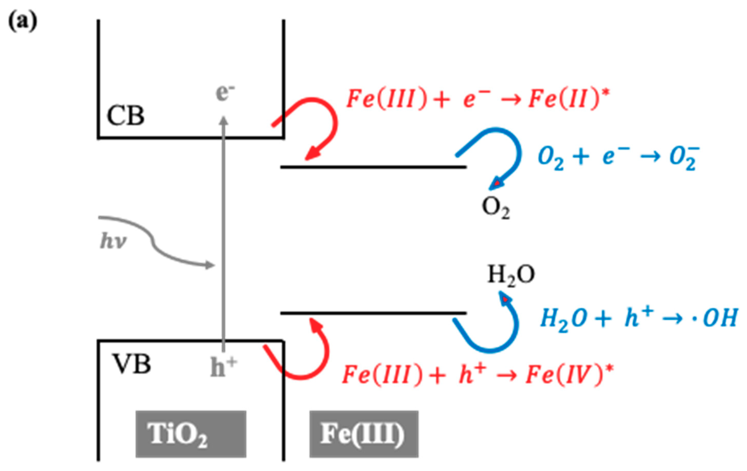 Catalysts 10 00739 g006a