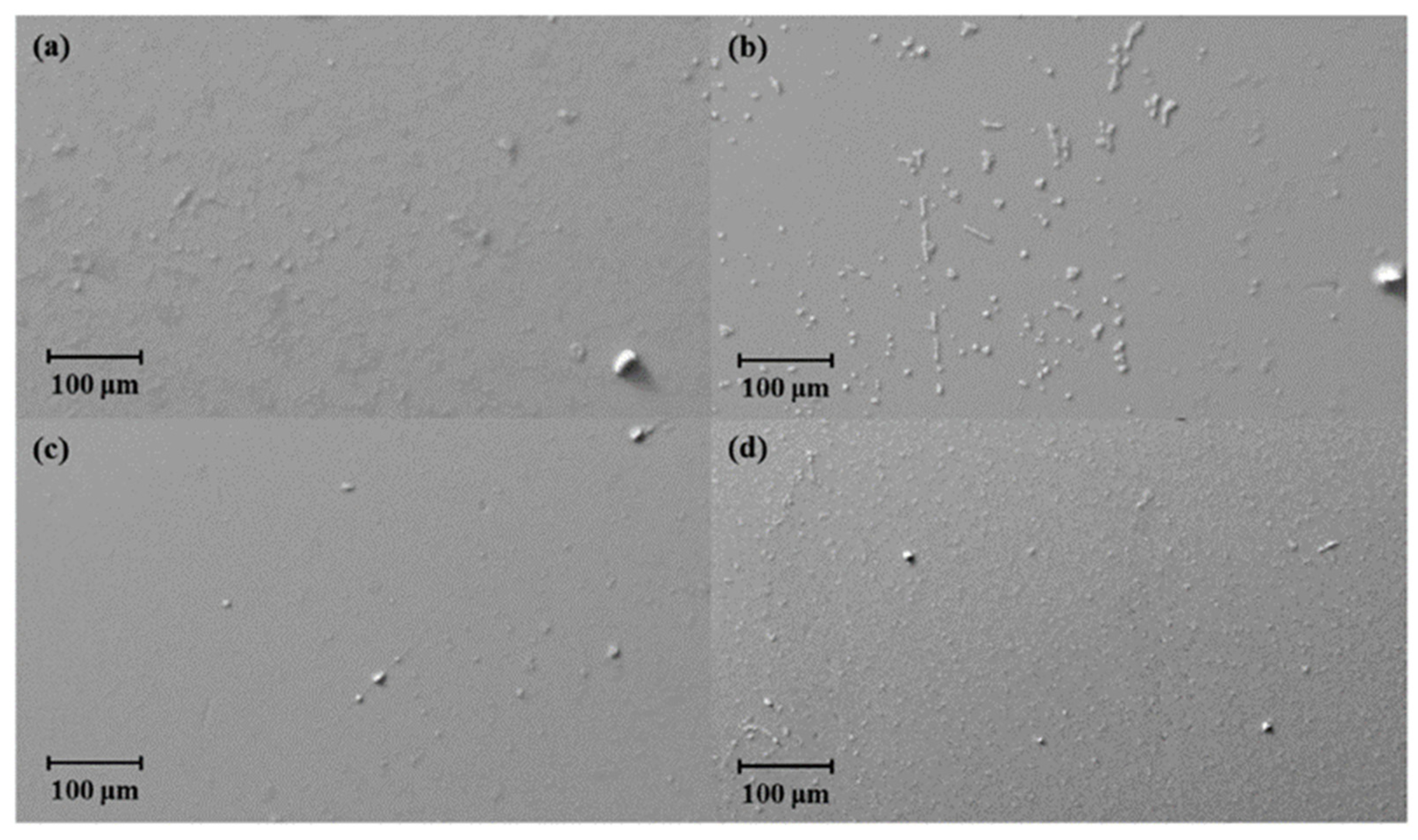 Catalysts 10 00745 g007 Catalysts 10 00745 g007