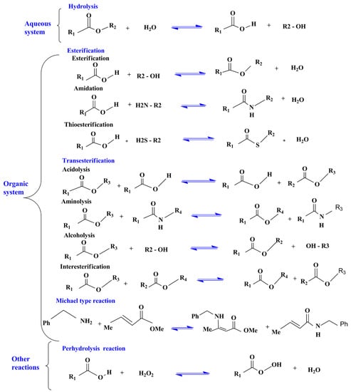 Catalysts Free Full Text Main Structural Targets For Engineering Lipase Substrate Specificity Html