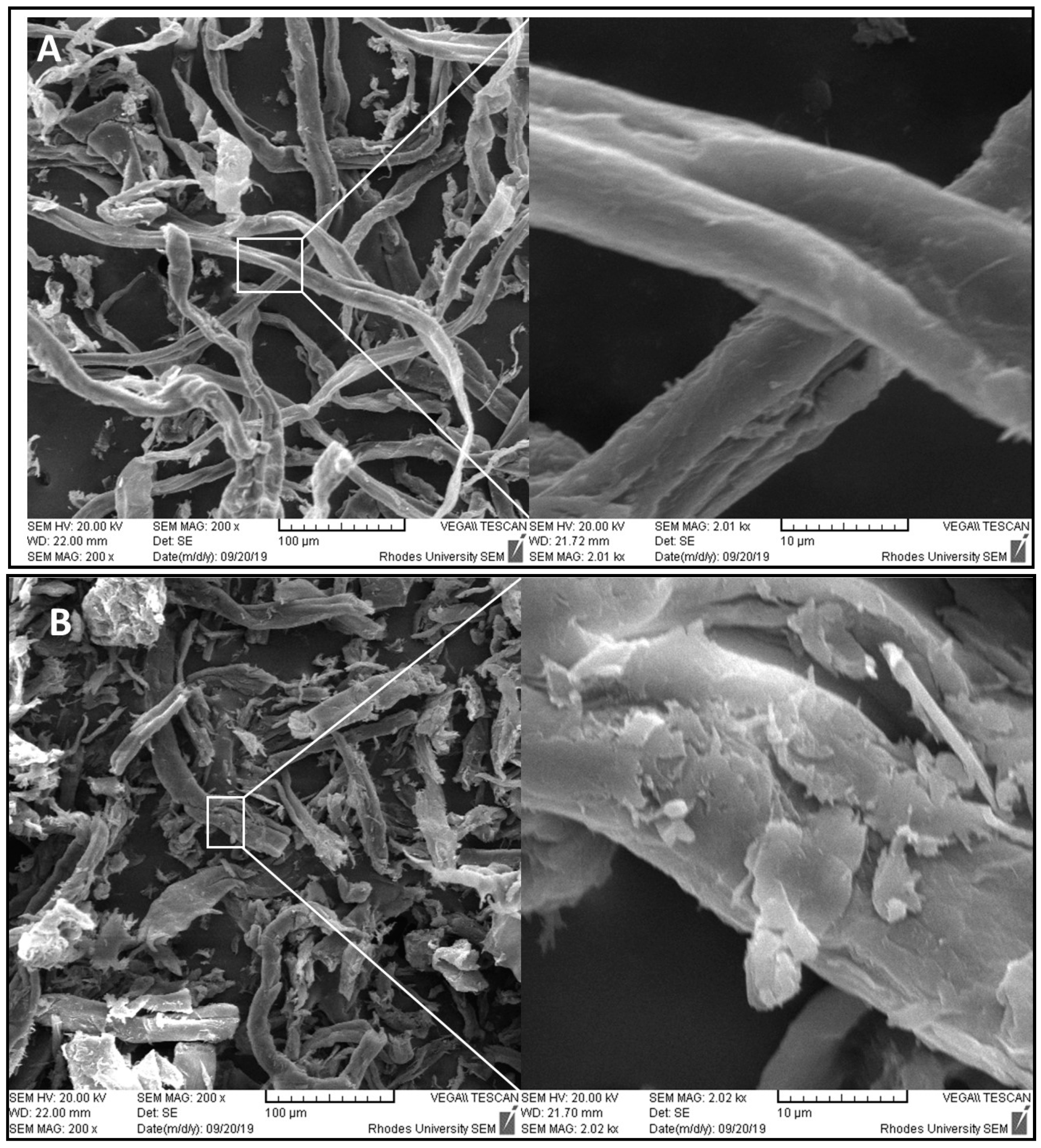 Catalysts 10 00775 g005 Catalysts 10 00775 g005