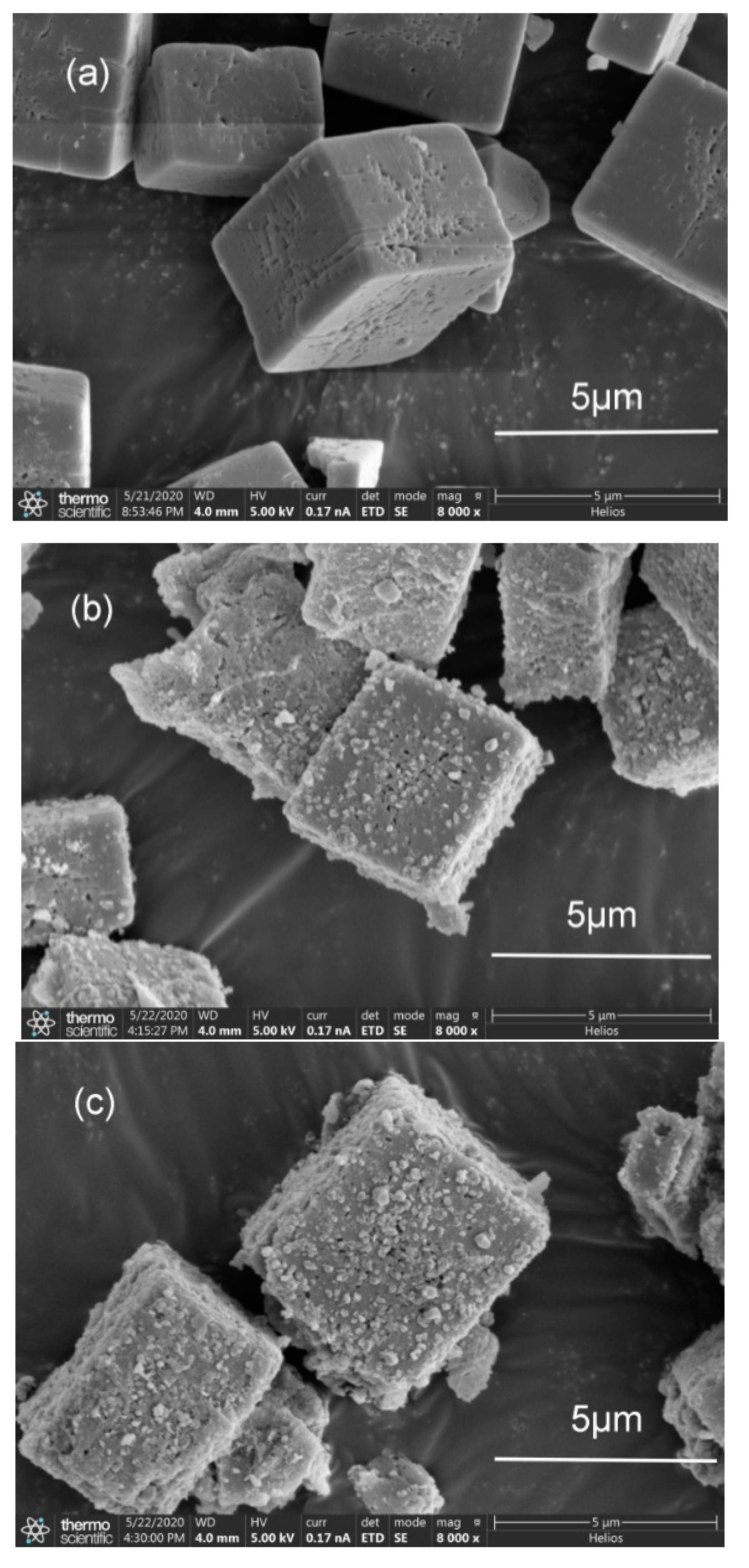 Catalysts 10 00785 g002